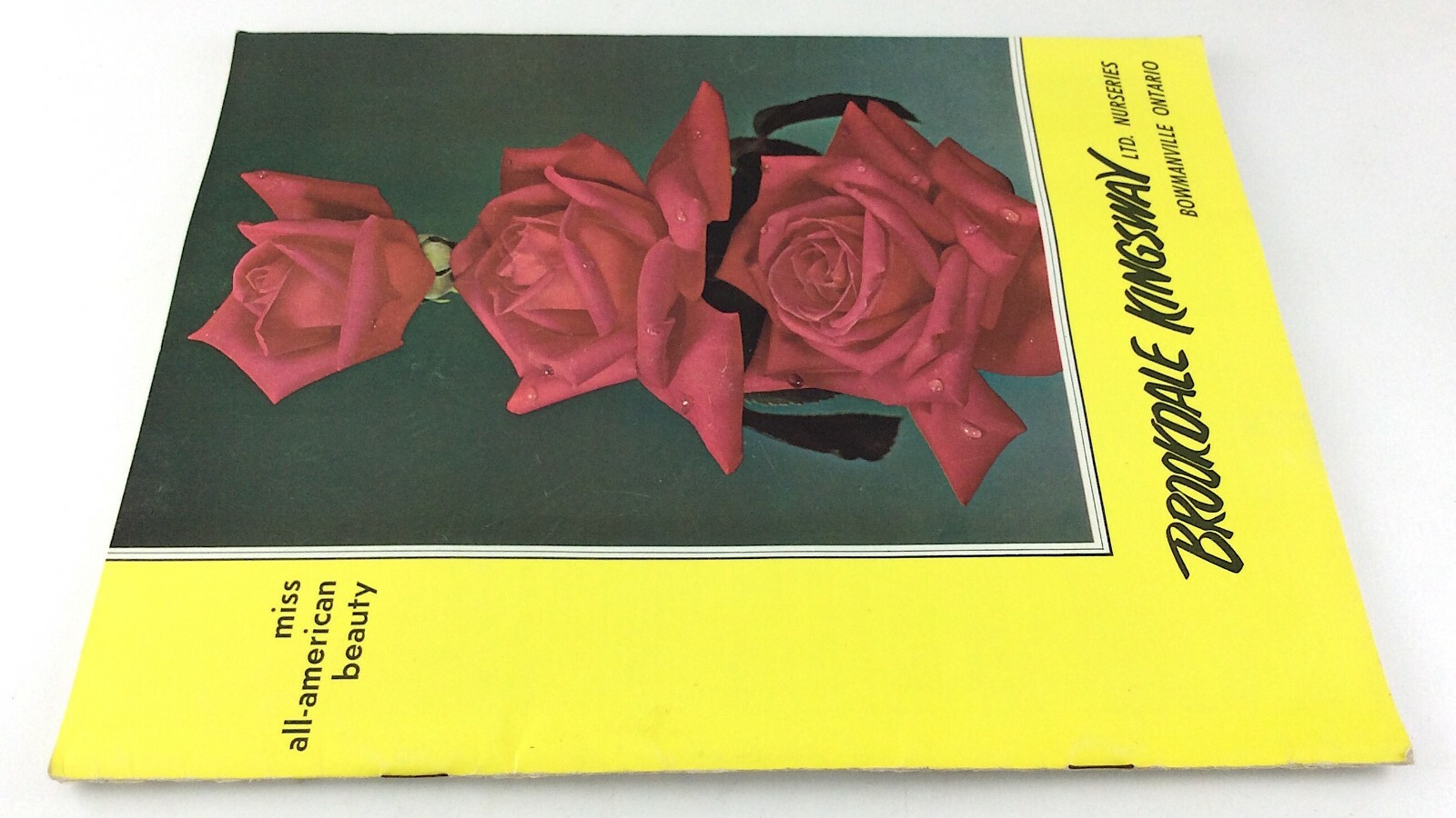 Vintage 1968 Seed Catalog Brookdale Kingsway Limited Bowmanville Ontario Q293
