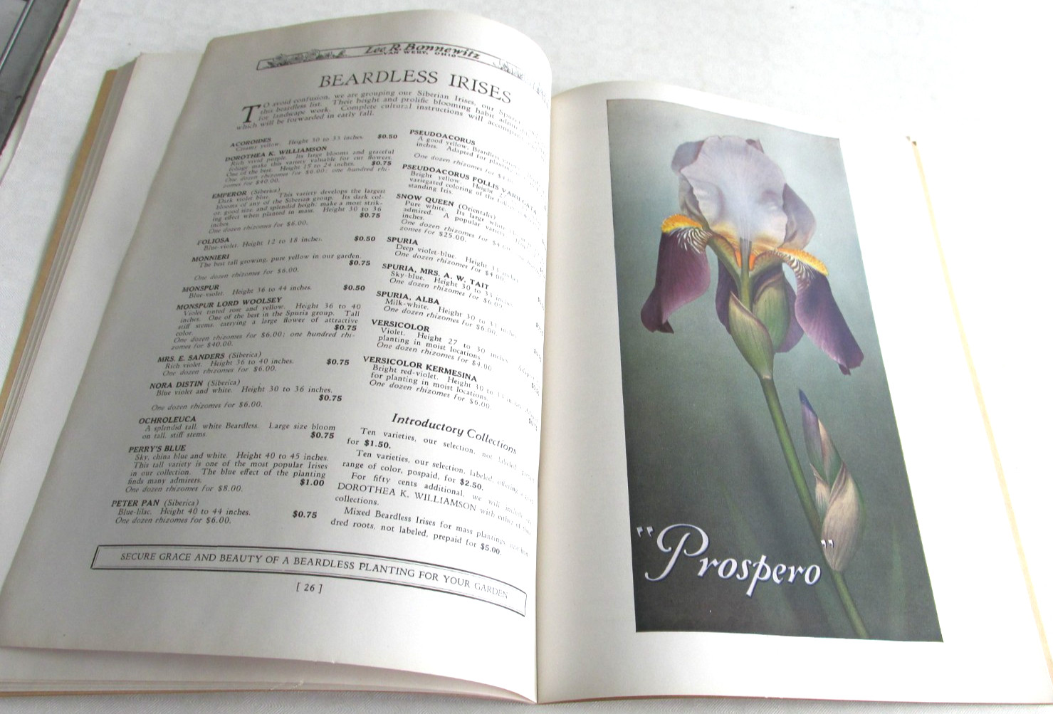 1928 VAN WERT OHIO Peonies And Irises and Poppies Catalog, Lee R Bonnewitz