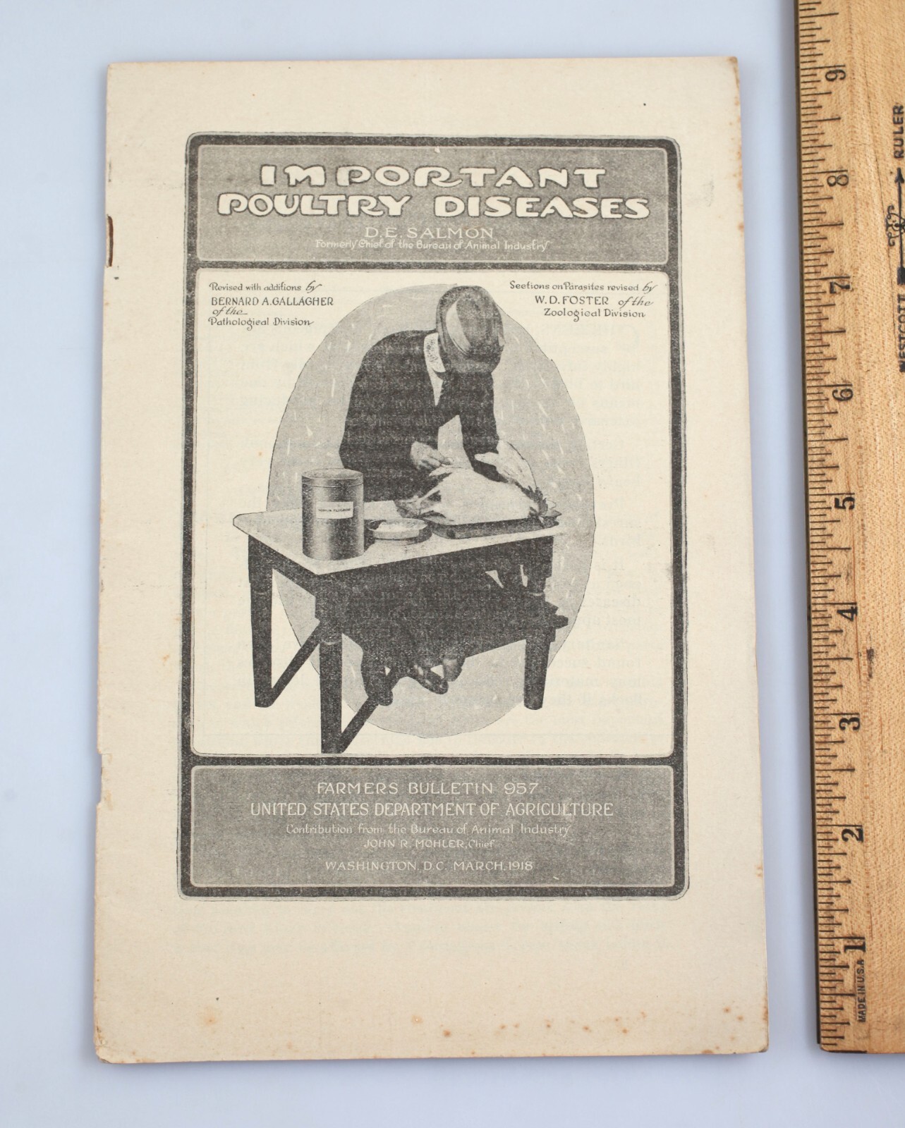 Vintage 1918 USDA Farmer’s Bulletin Important Poultry Diseases Booklet Chickens