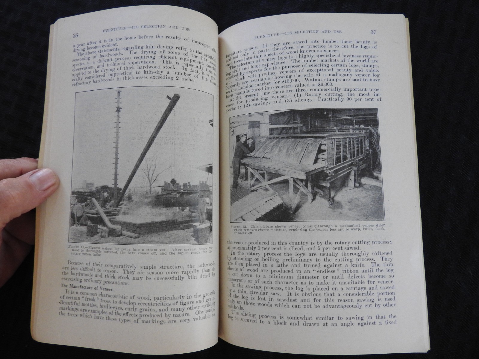 1931 “Furniture, it’s Selection & Use” U.S. Department of Commerce Wood Lumber