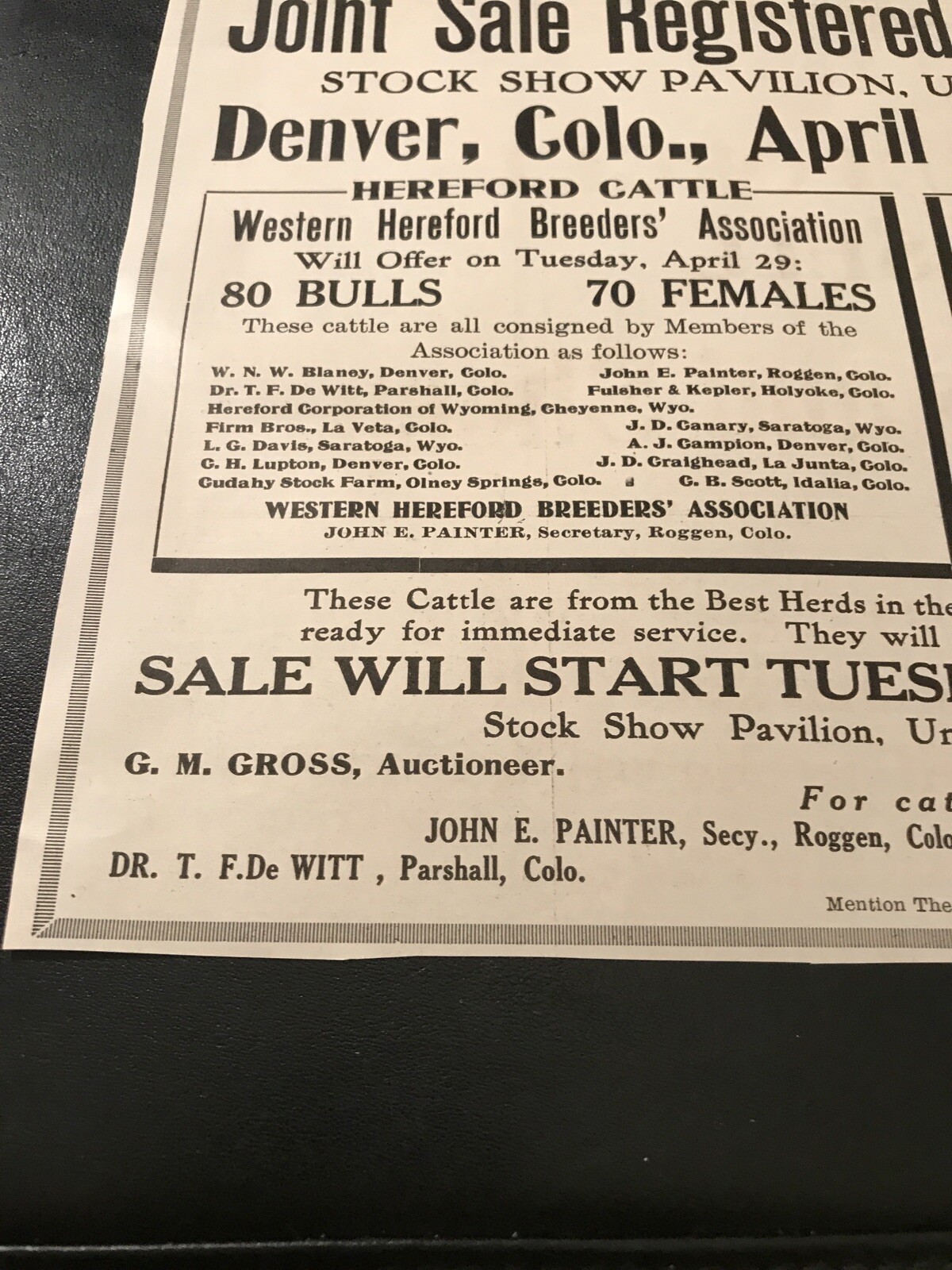 1919 Breeding Cattle Public Sale – Cow – Denver – Colorado