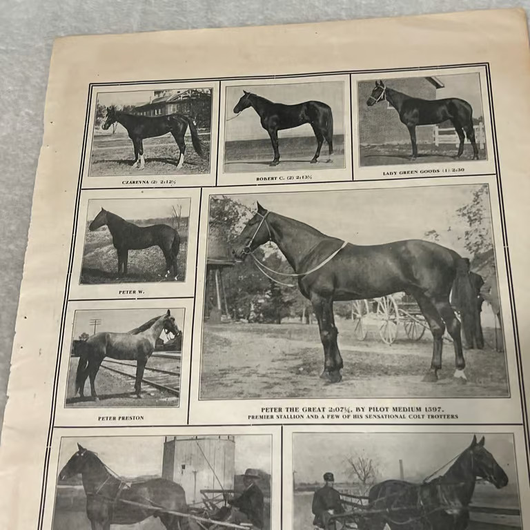1909 The Patchen Wilkes Farm Lexington Kentucky Horses Vintage Ad V