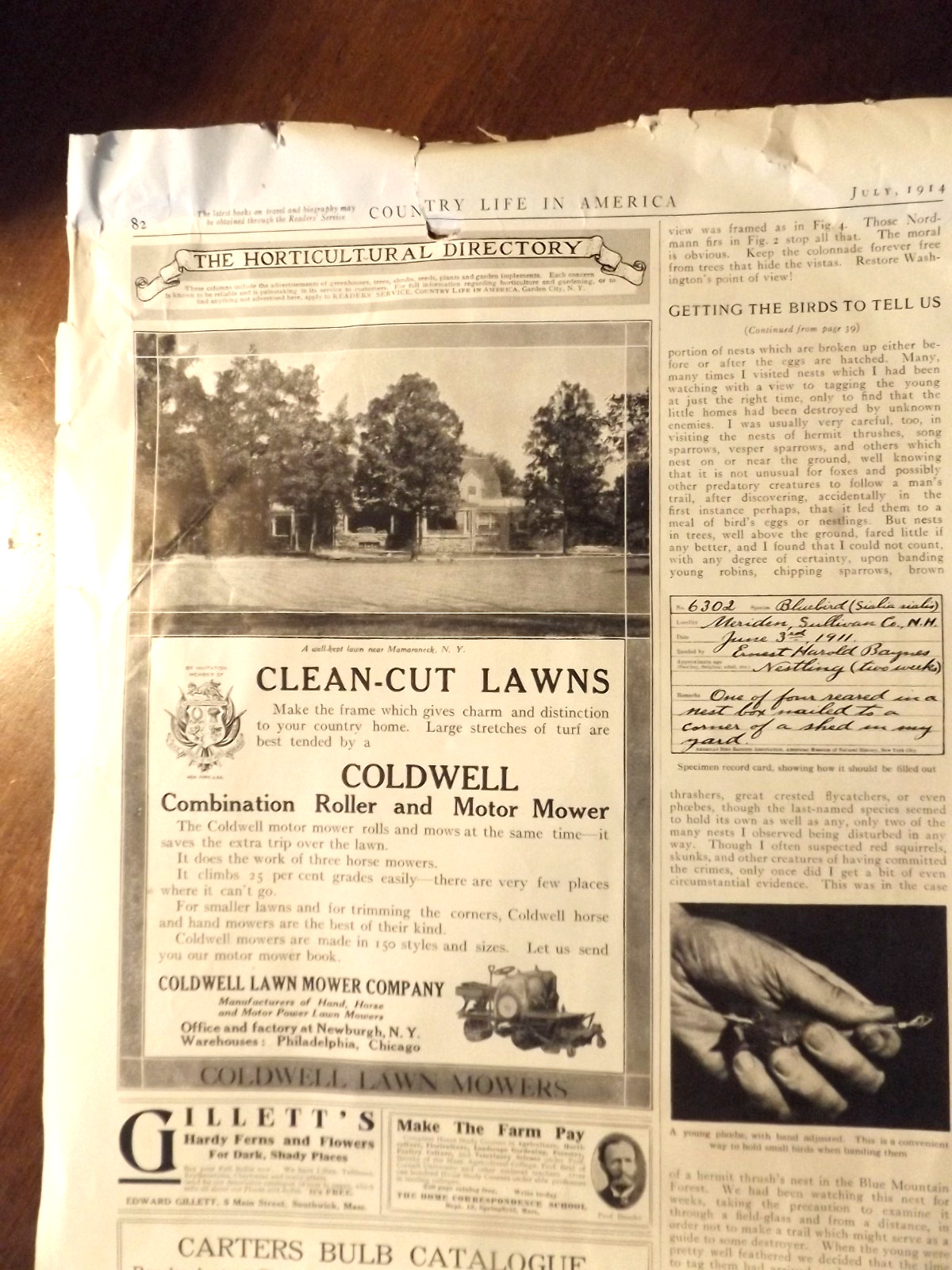 1914 Coldwell Lawn Mower == AND Ideal === Grass Cutters Cutting Yard Equipment