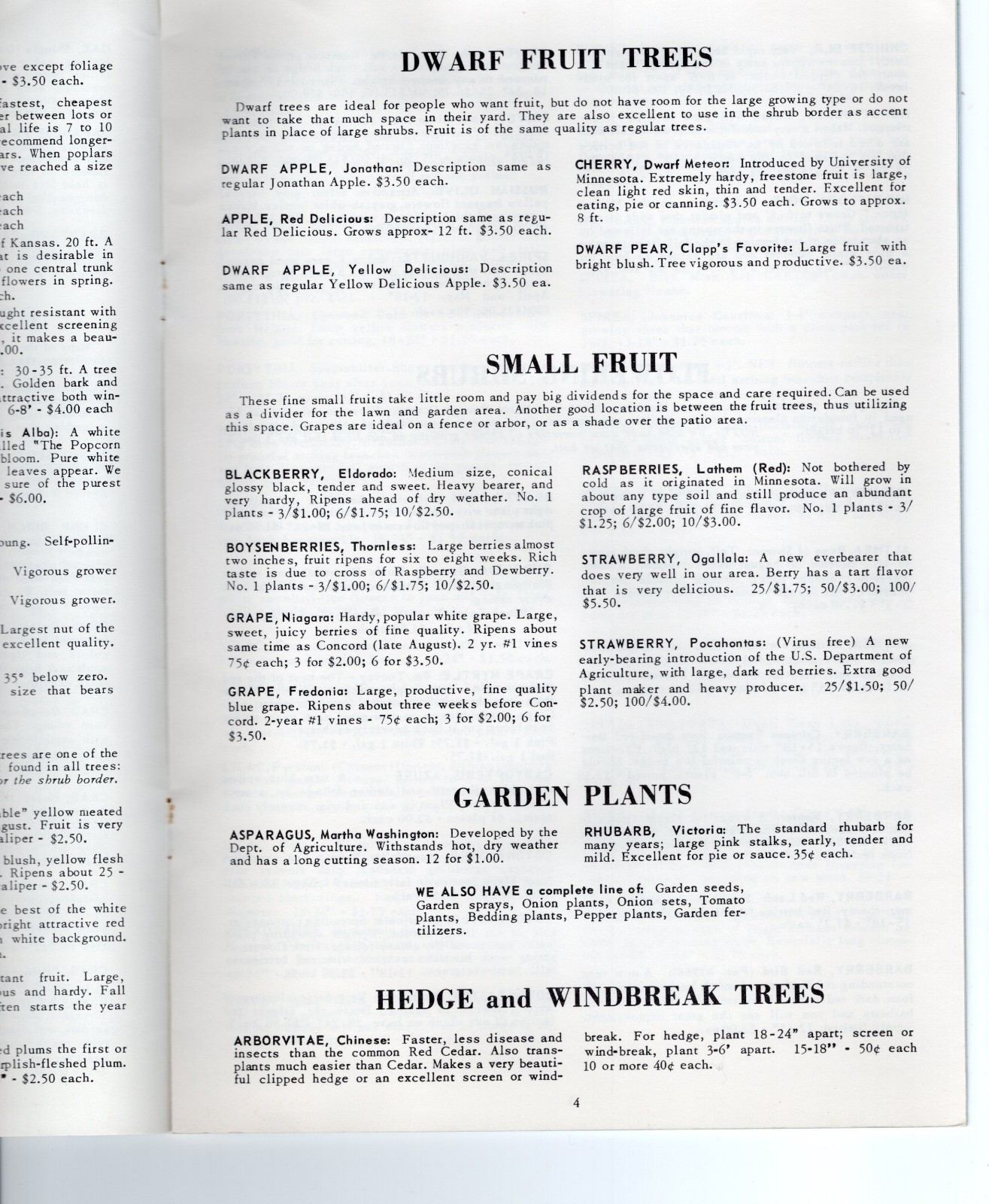 1967 Wichita Kansas Brady Nursery Catalog Booklet – XL4A
