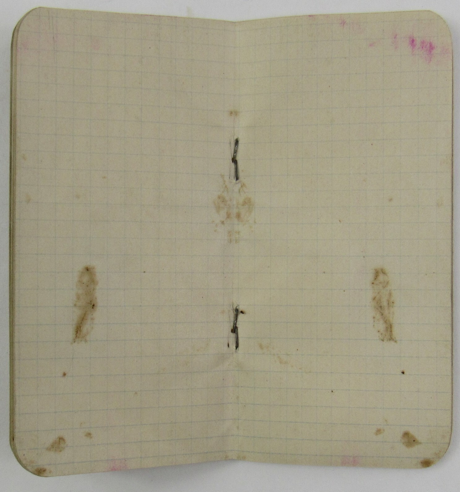 1909 George Howell Fertilizer Provisions Newark OH Animal Tankage Skull Notebook