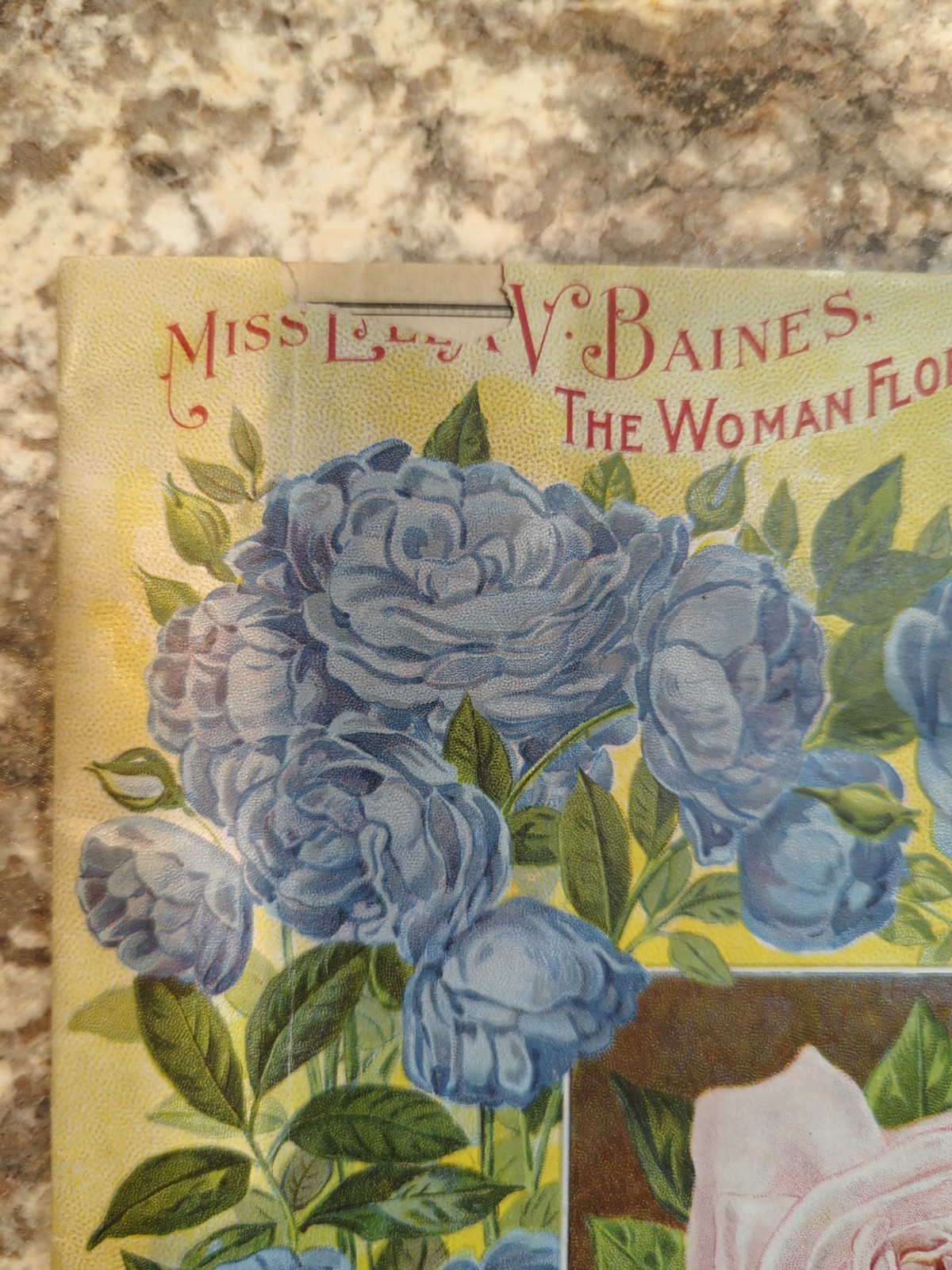 1910 The Woman Florist, Miss Ella V Baines Spring Illustrated Catalogue
