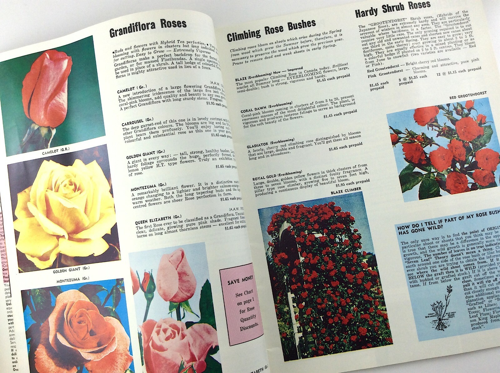 Vintage 1968 Seed Catalog Brookdale Kingsway Limited Bowmanville Ontario Q293