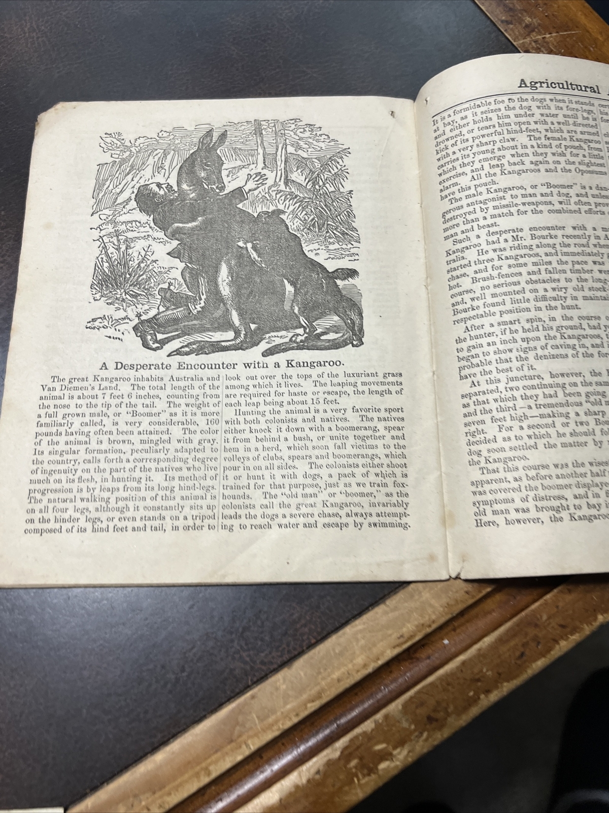HTF 1887 Lancaster Pa Almanac J. Baer’s & Sons Booksellers