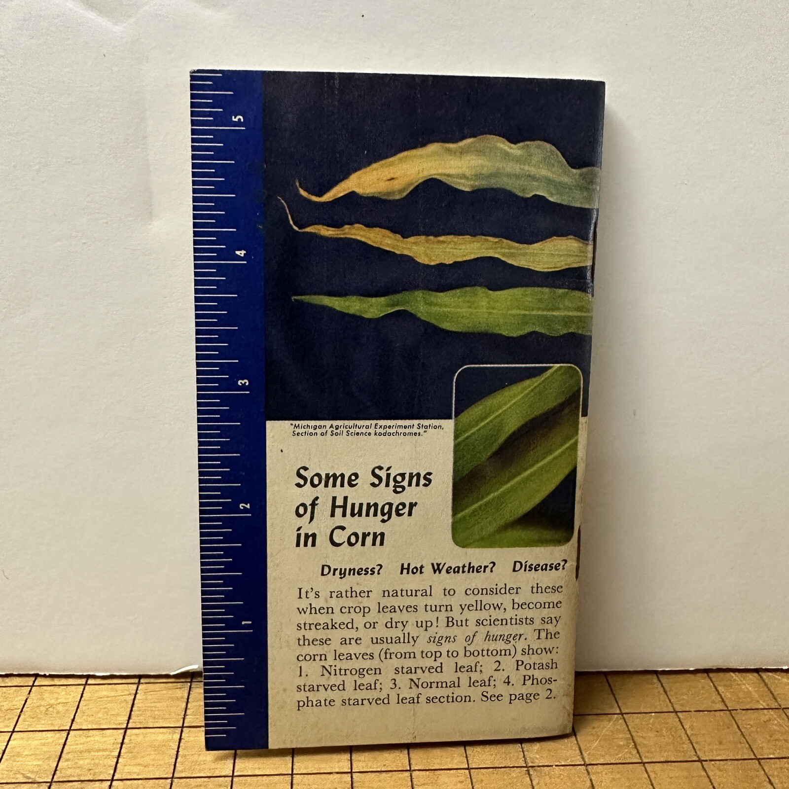 Vintage Advertising Swift’s Plant Food Service Red Steer Memo Book