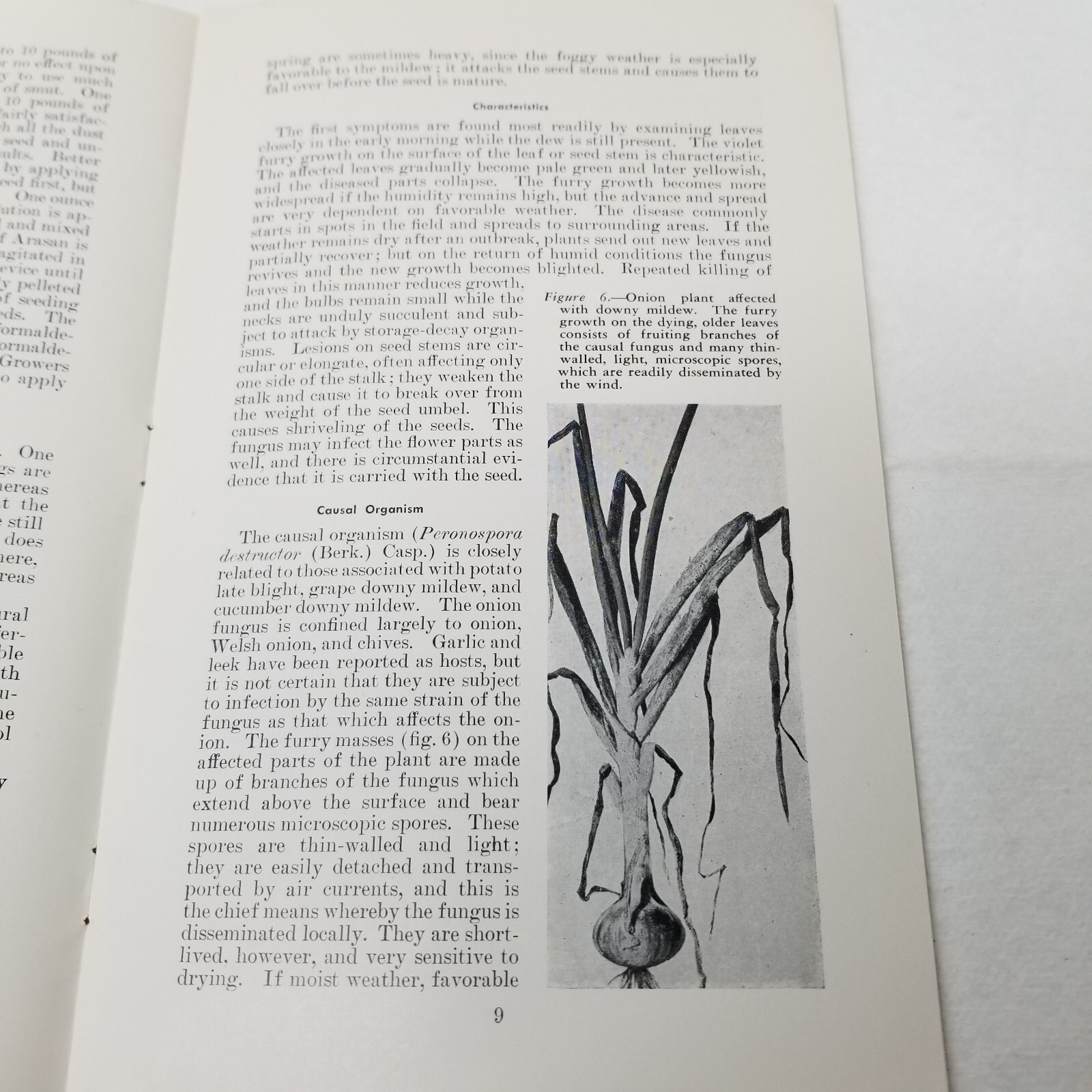 Onion Diseases Control 1947 Farmers’ Bulletin Booklet 1060 USDA Photos Charts
