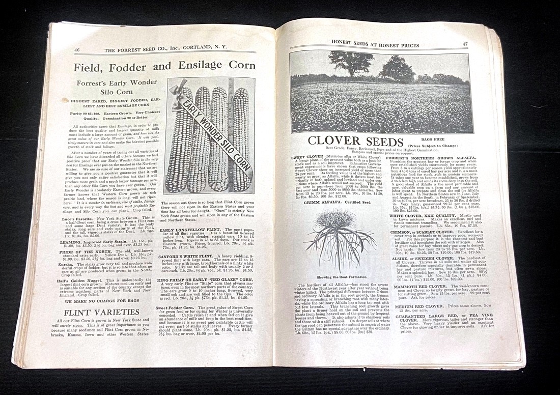 1925 and 1926 FORREST’S HONEST SEEDS – FORREST SEED CO CATALOGUES – TWO Each 72p