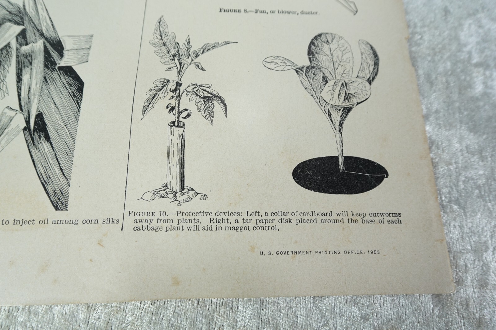 3 Vintage 1953, ’55 Vegetable Flower Gardener Handbooks Park Seed Catalog 1976