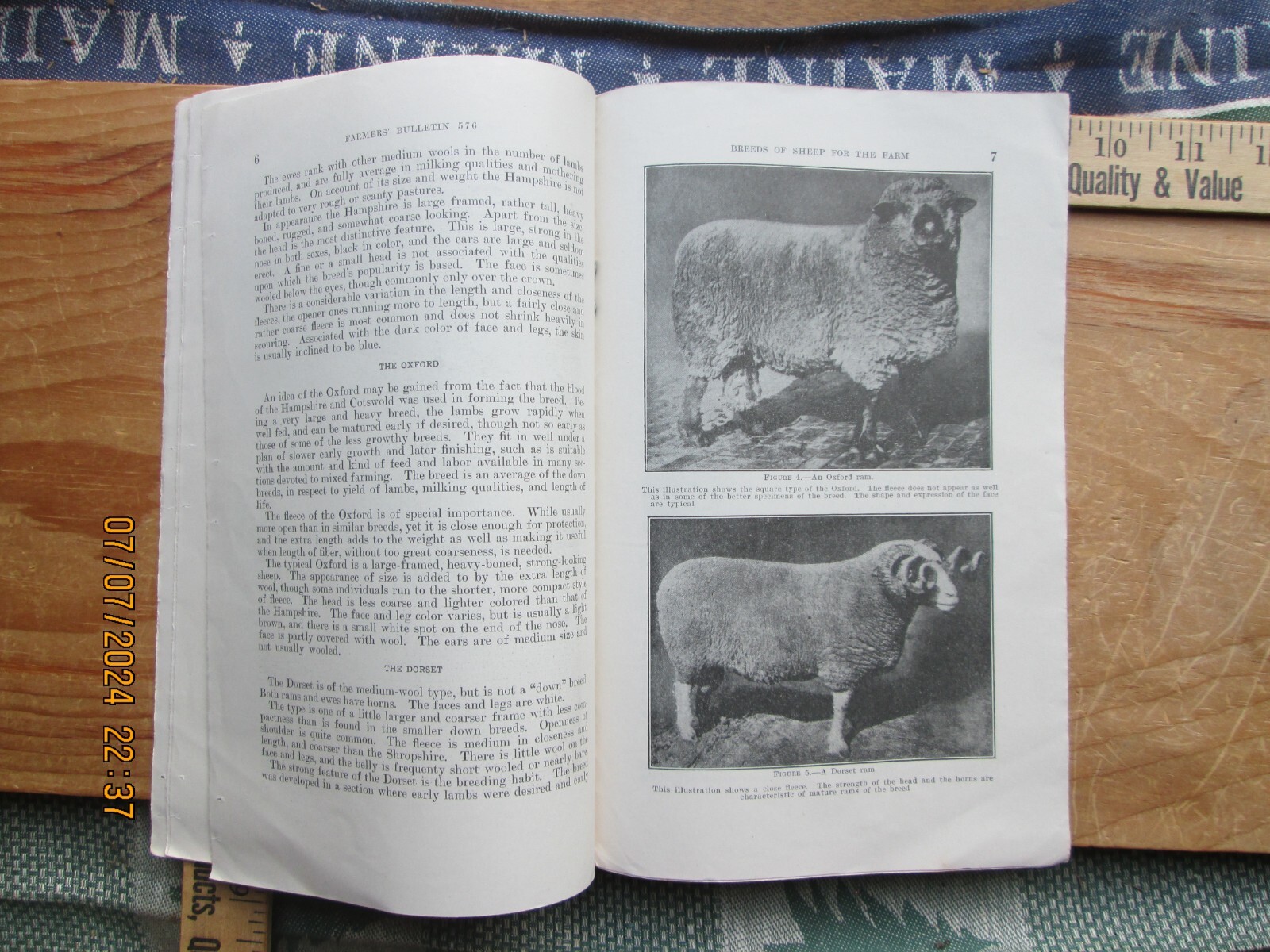 1940 Breeds of sheep for the farm US Department of Agriculture number 576