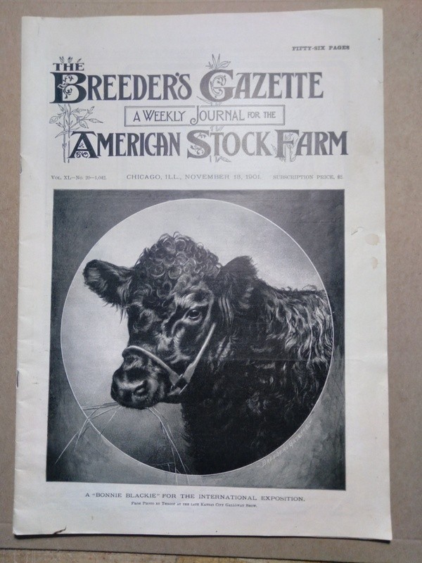 Nov 13, 1901 Breeder’s Gazette Weekly Union Stock Yards Intl Exposition Chicago