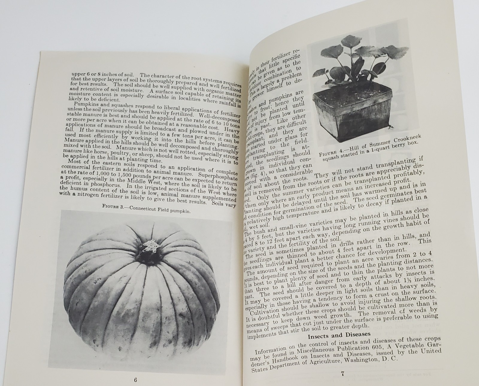 1938 Pumpkins & Squashes Production Vintage Farmer’s Leaflet No 141 1945 Print