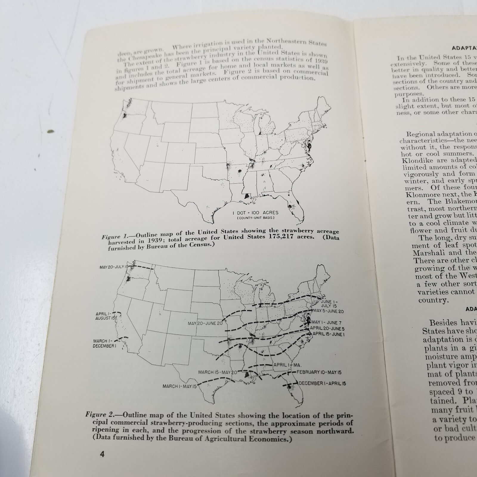 Strawberry Varieties USA 1948 Farmers’ Bulletin Booklet 1043 USDA Photos Charts