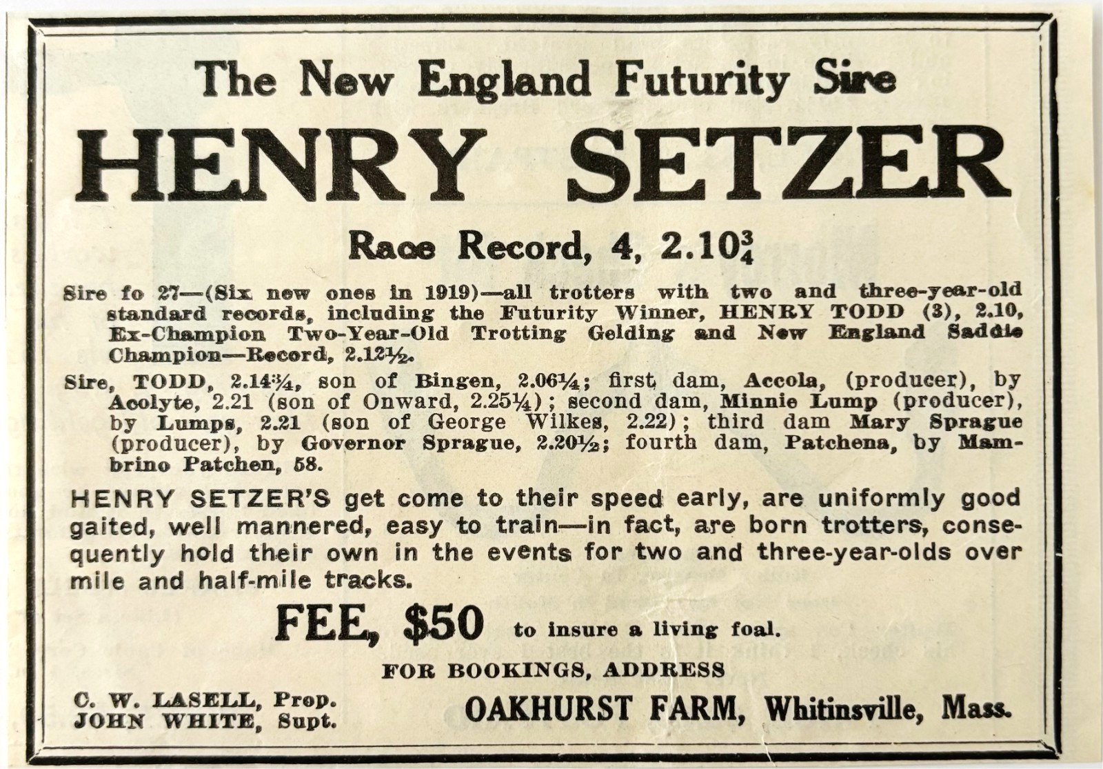 1920 Henry Setzer Breeding Horse Advertisement Racing Futurity Sire E4A