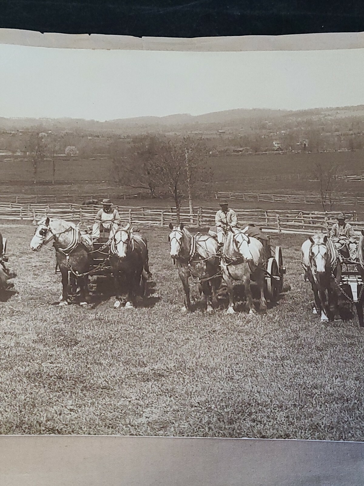 Vintage 1800s 5 Farmers & Horse Wagons Photo Newark NJ