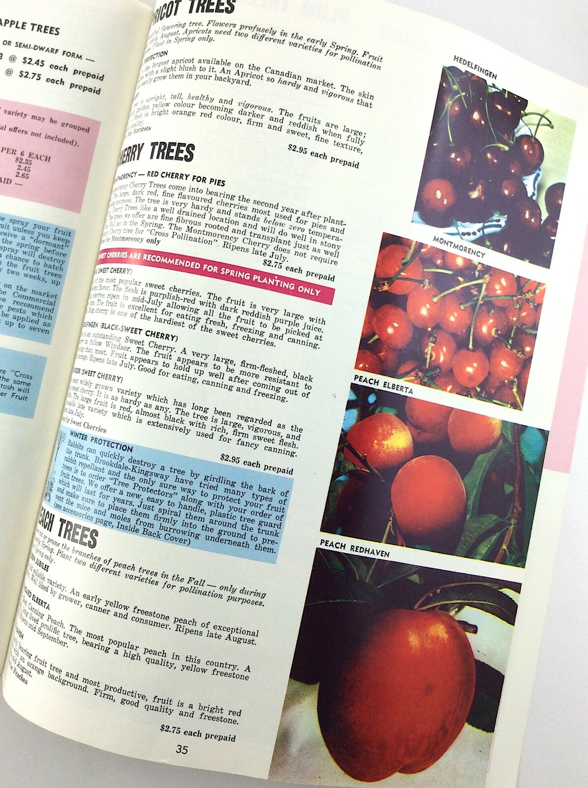 Vintage 1968 Seed Catalog Brookdale Kingsway Limited Bowmanville Ontario Q293