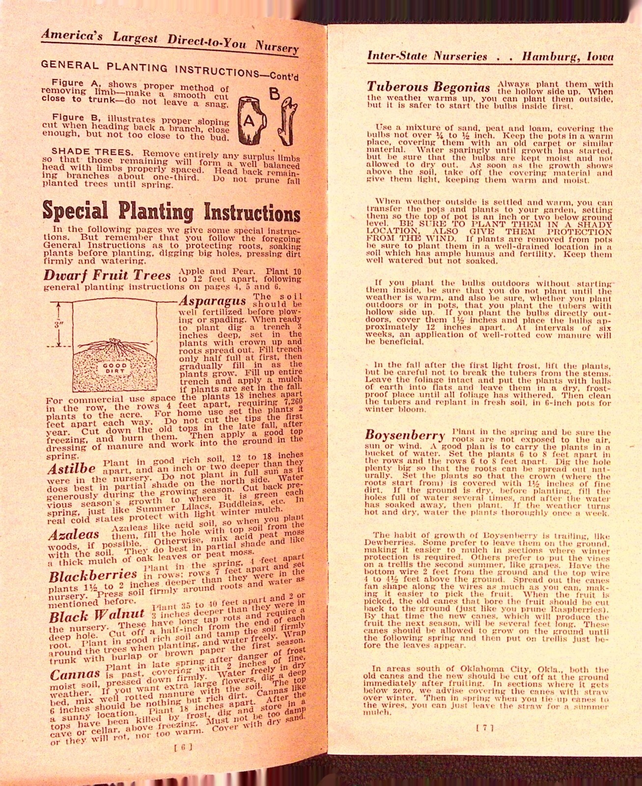 Interstate Planting Handbook Gardening Plant Brochure Inter-state Nursery Iowa