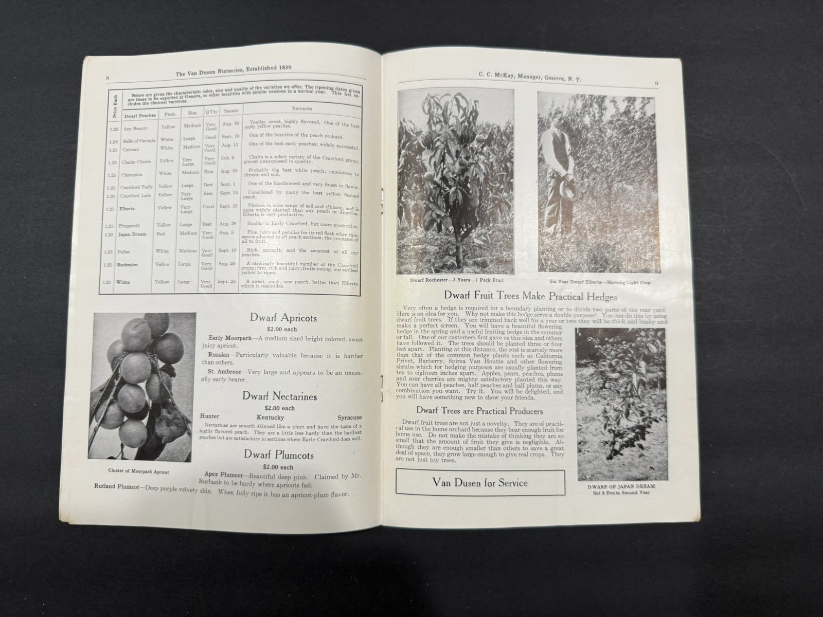 1930’s Evergreen, Van Dusen, Rosedale Nursery Brochures…..4 Items