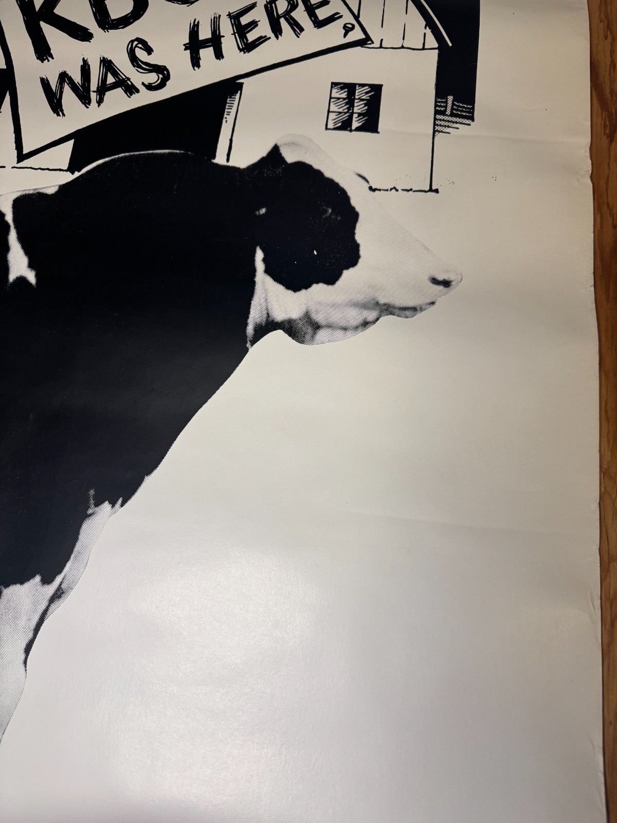 VTG 1970 King Bull on Production “KBOP” ABS American Breeders Service Ad Poster