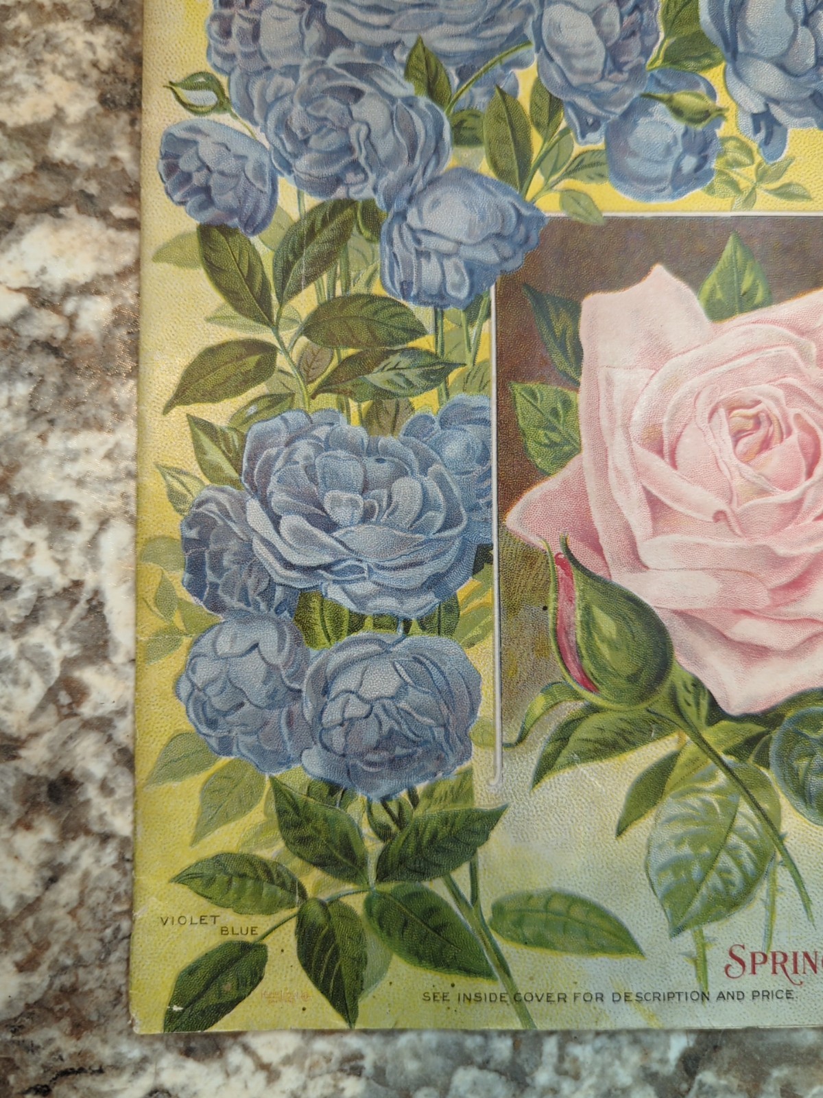 1910 The Woman Florist, Miss Ella V Baines Spring Illustrated Catalogue