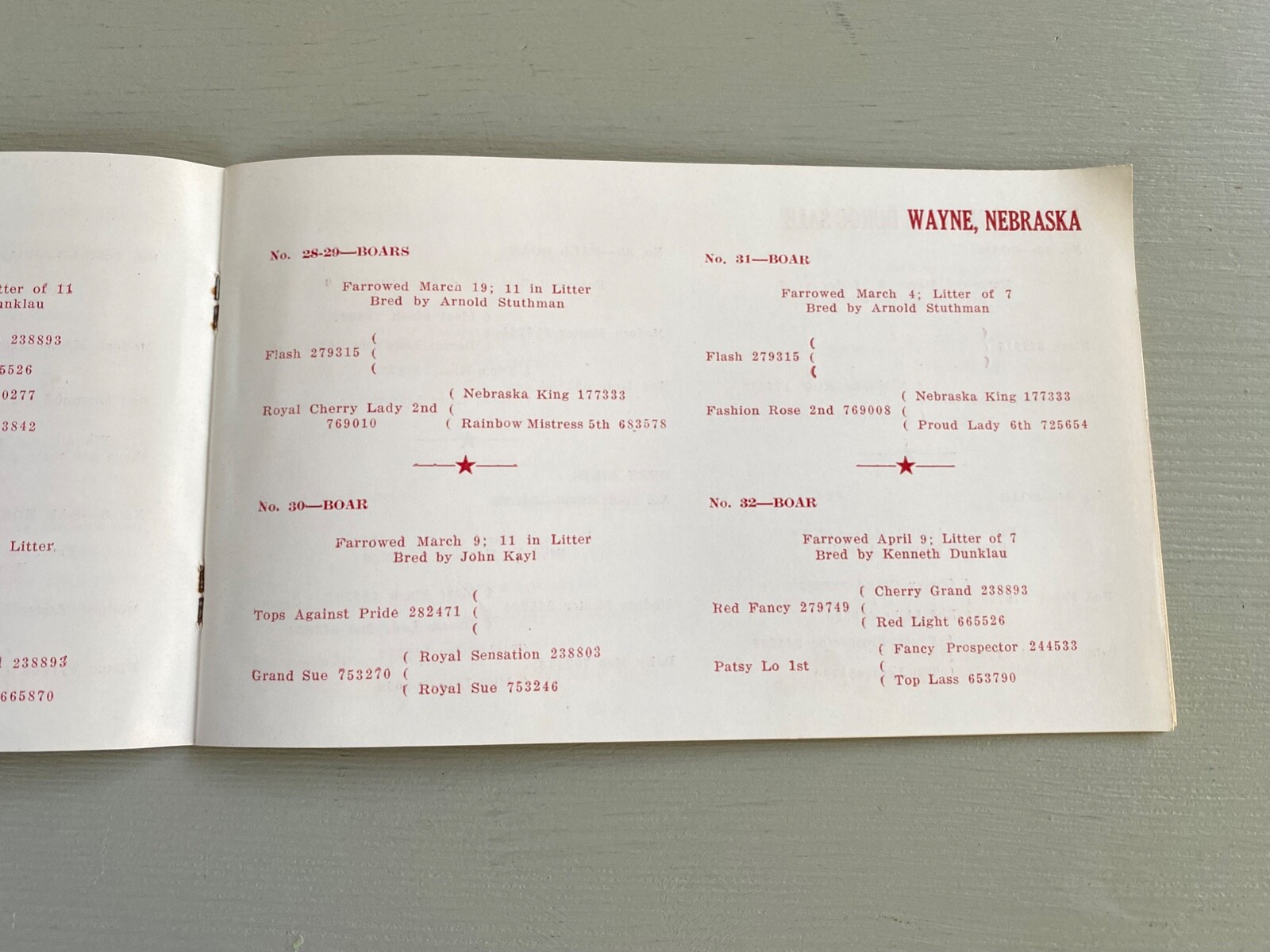 Vintage Durocs Boar Gilt Hogs Pigs Sale Catalog Book Wayne Nebraska 1947 Farm Ag