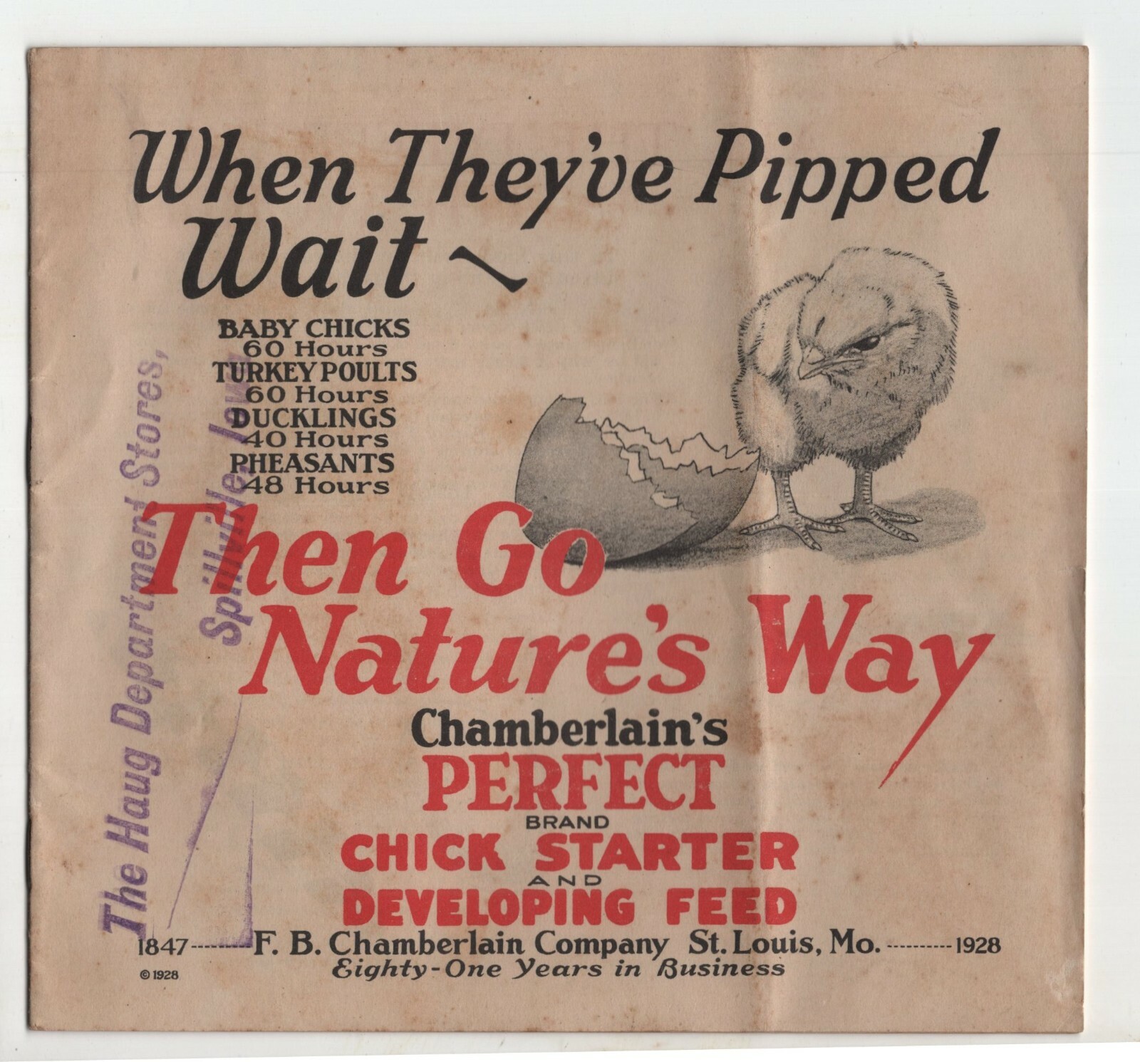 1928 Chamberlain’s Chick Starter Booklet – Haug Department Stores, Spillville IA