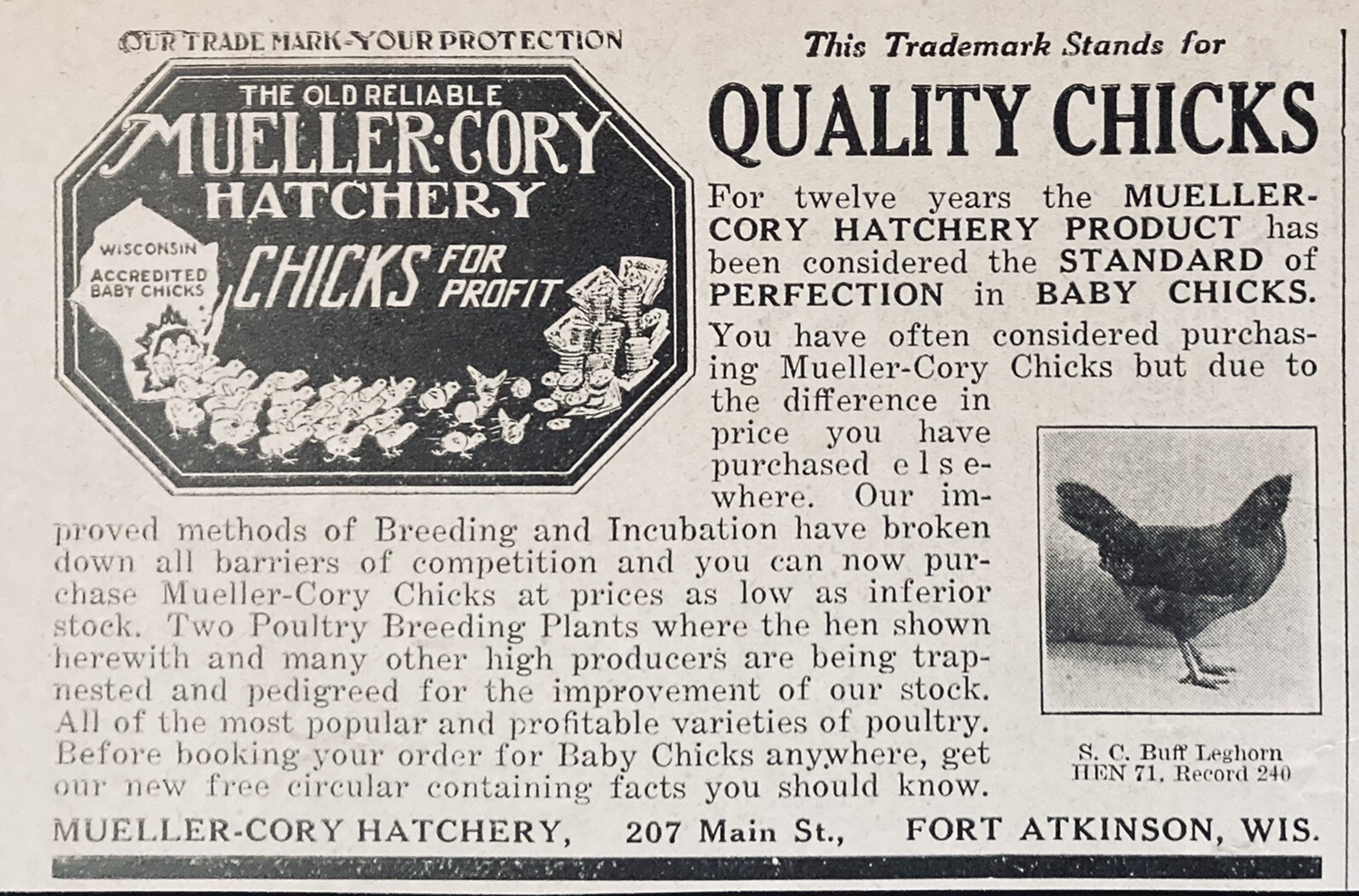1928 AD.(XH16)~MUELLER-CORY HATCHERY, FT. ATKINSON, WIS. QUALITY HATCHERY CHICKS