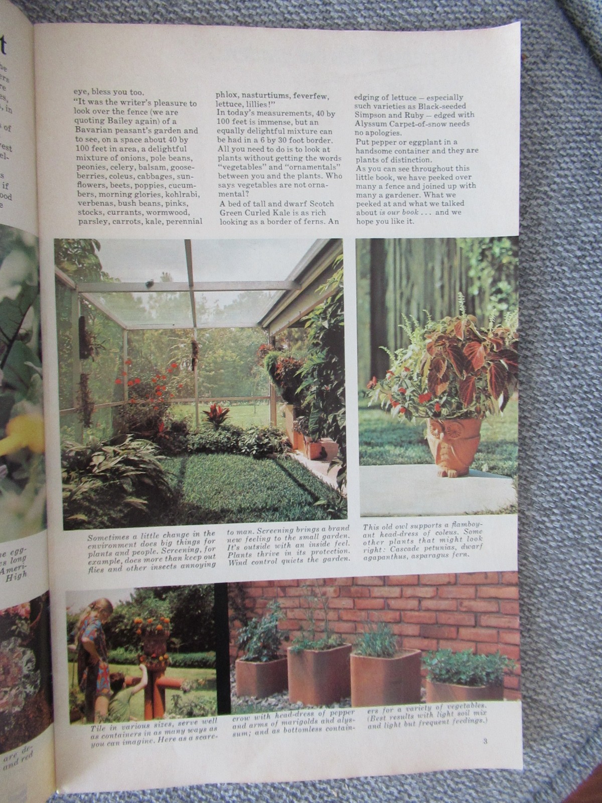 Ortho Chevron Lawn and Garden Book Brochure BA Chemical Company 34 pages 1970