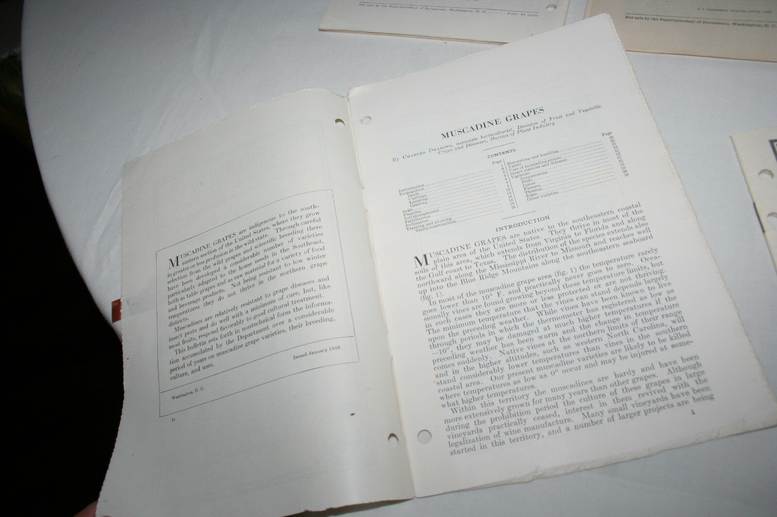 9 US Department of Agriculture lot of Farmer’s Bulletin