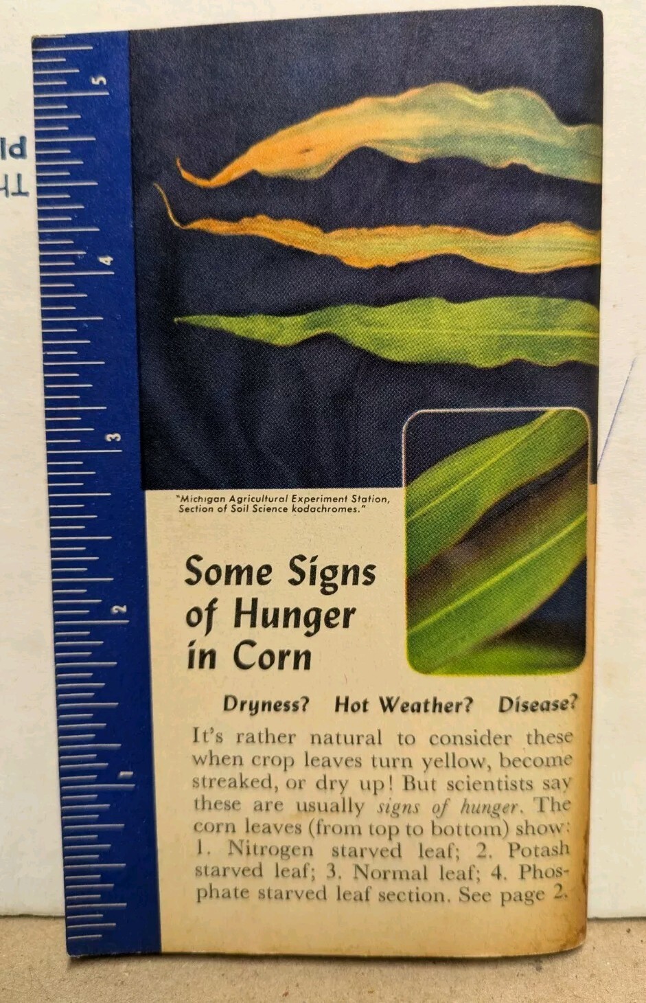 1954-1955 Swift’s Plant Food Service Red Steer Memo Book Vigoro Brimm Gold Bear