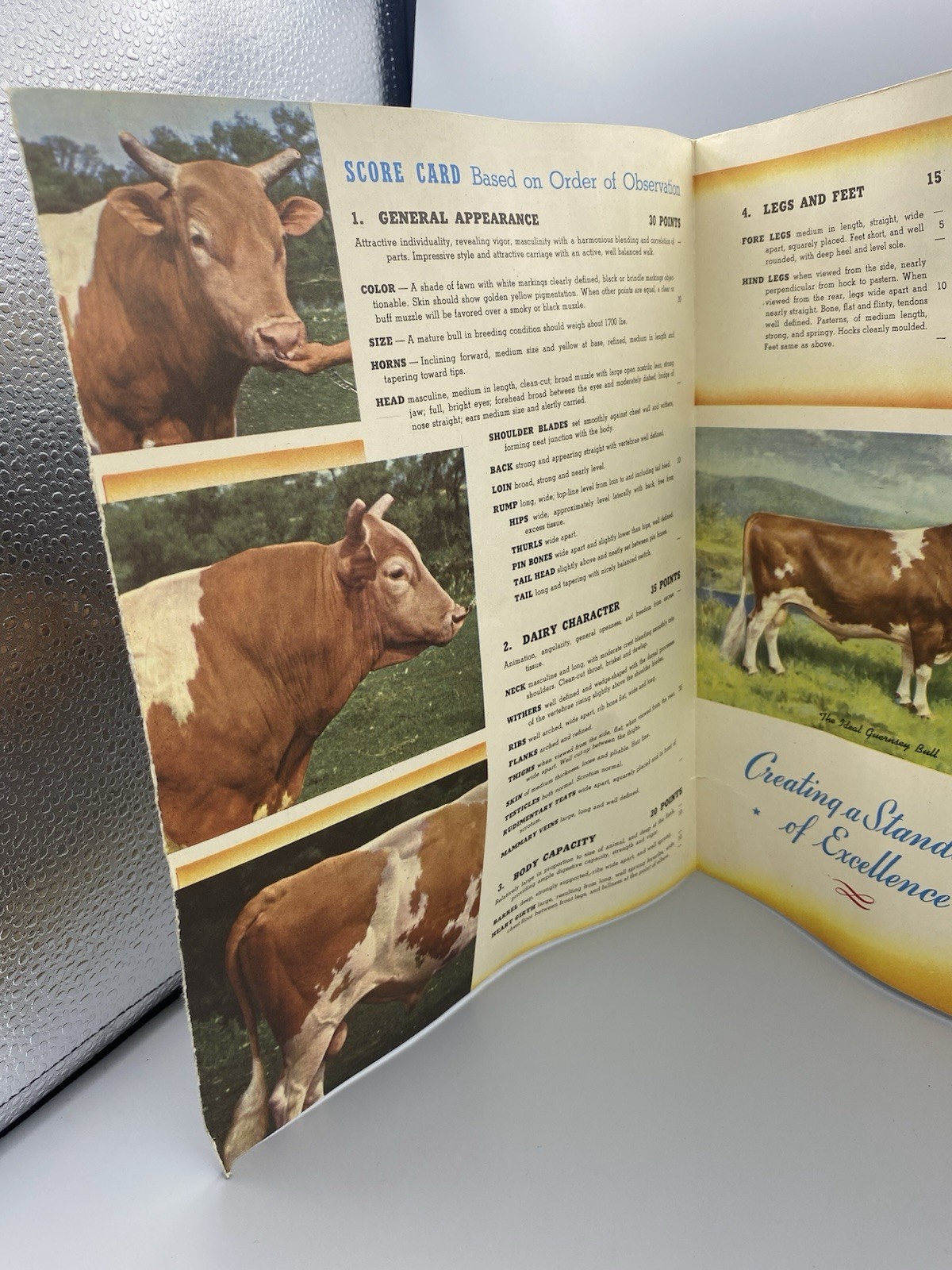 American Guernsey Cattle Club Booklet “Creating a Standard of Excellence”