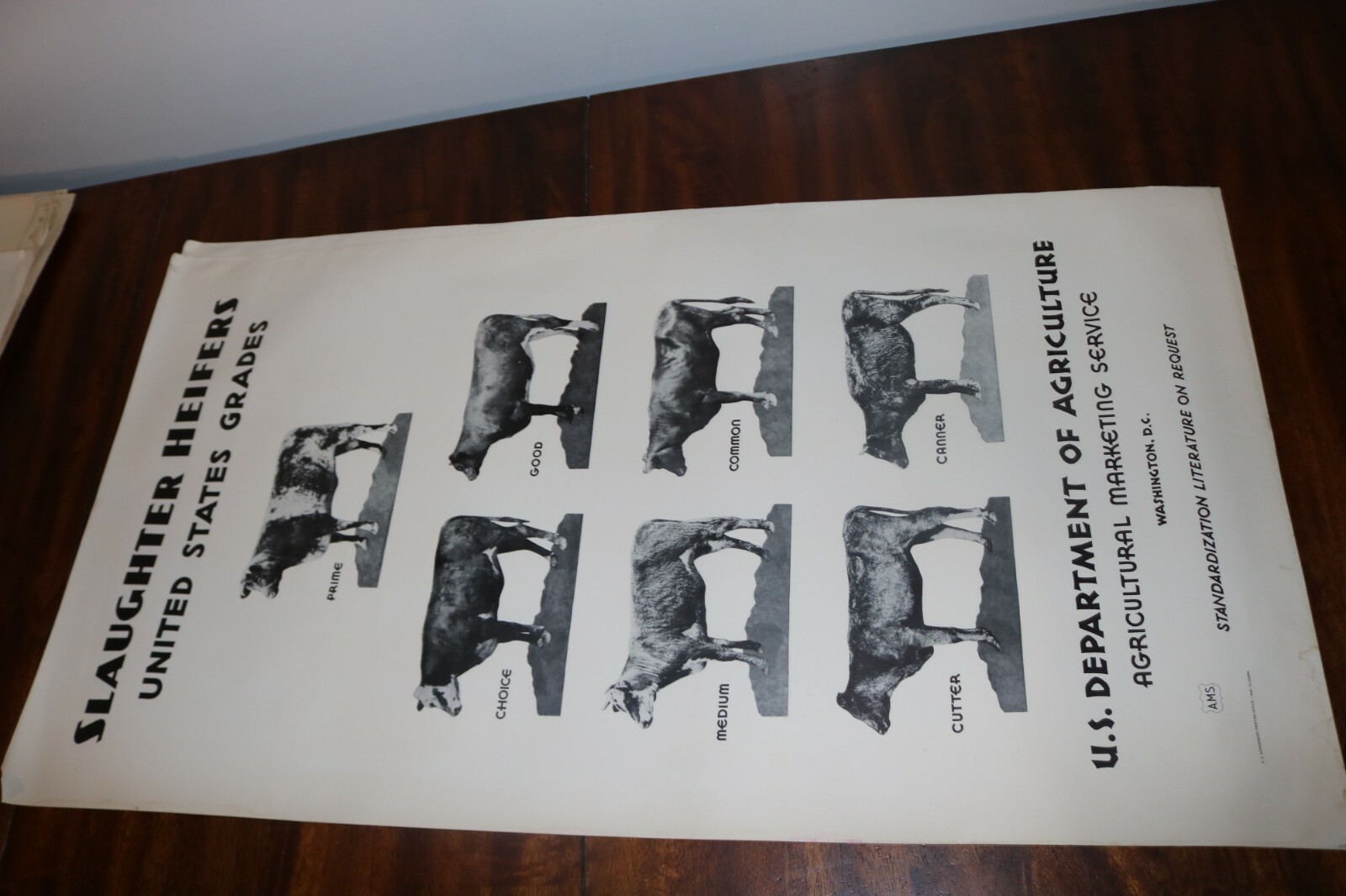 RARE new old stock orig 1940 Large USDA Heifer slaughter grade poster chart sign