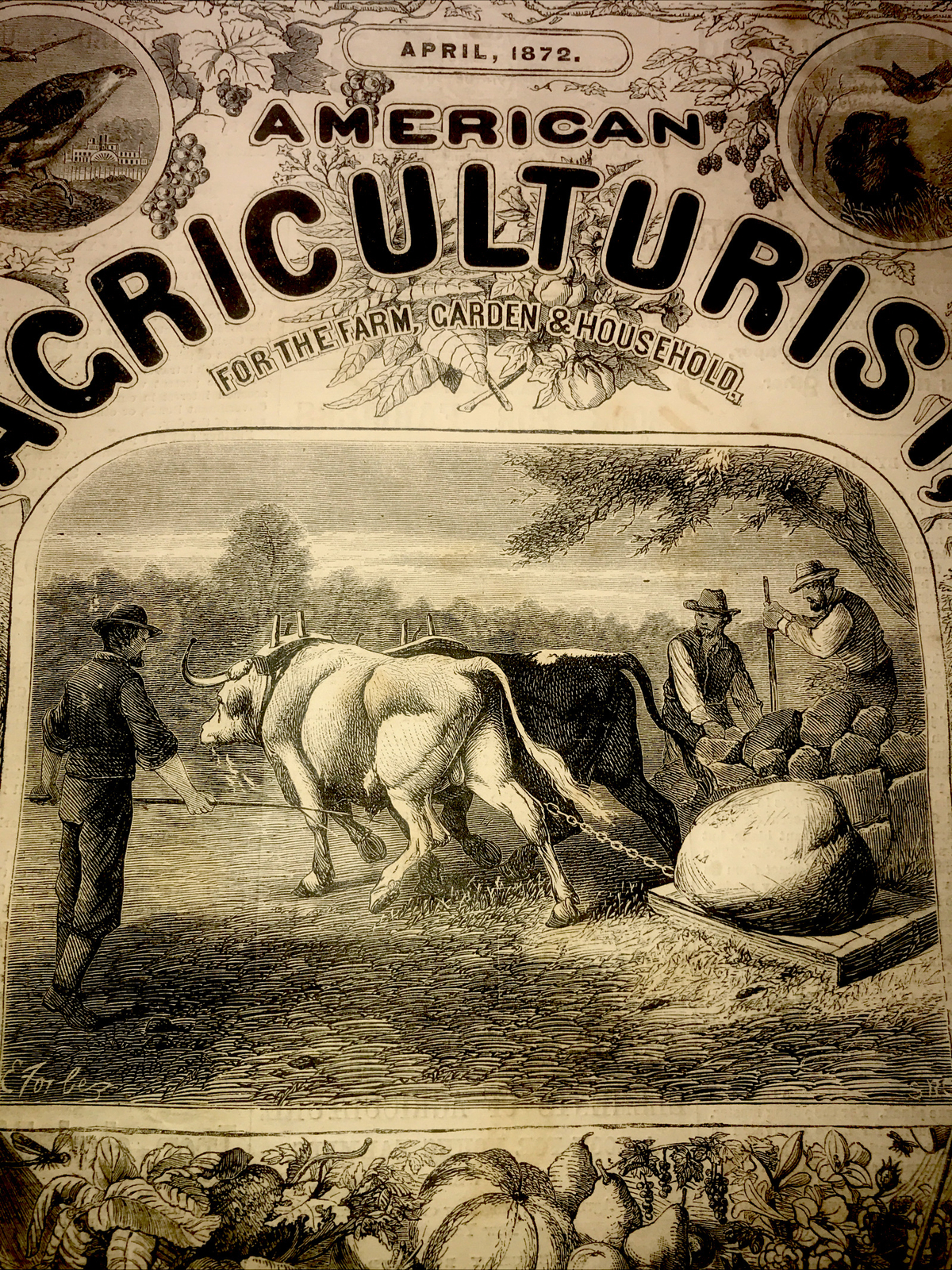 ORIGINAL 1872 Settler Farm Engraving Advertising