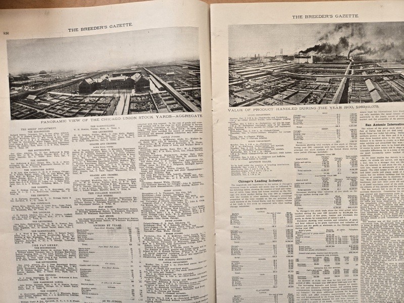 Nov 13, 1901 Breeder’s Gazette Weekly Union Stock Yards Intl Exposition Chicago