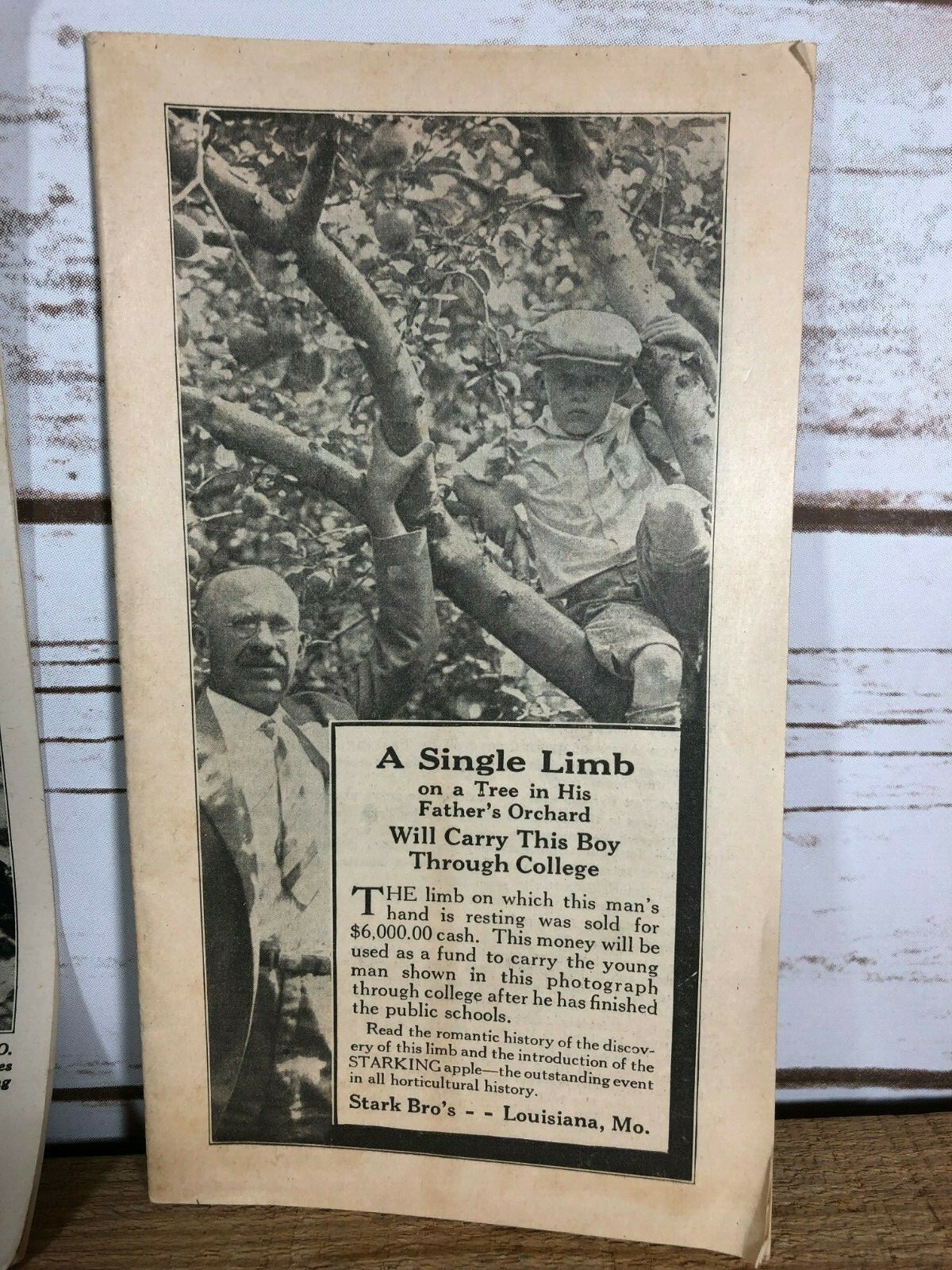 4 Vintage 1930s Stark Bro’s Nurseries Orchard Fruit Trees Brochures Catalogs