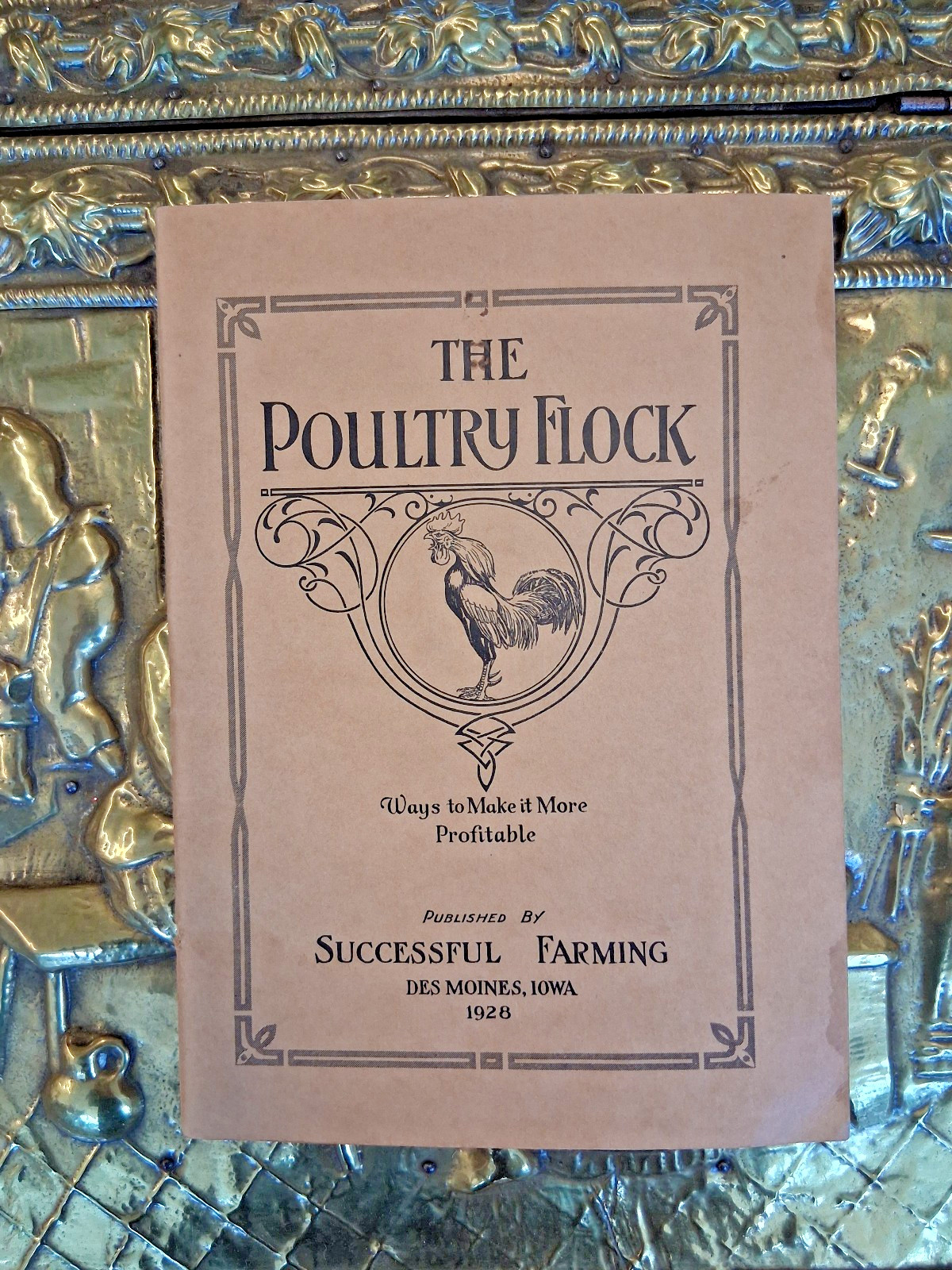 VTG 1928 The Poultry Flock Brochure with Envelope De Moines, Iowa by Kirk Fox