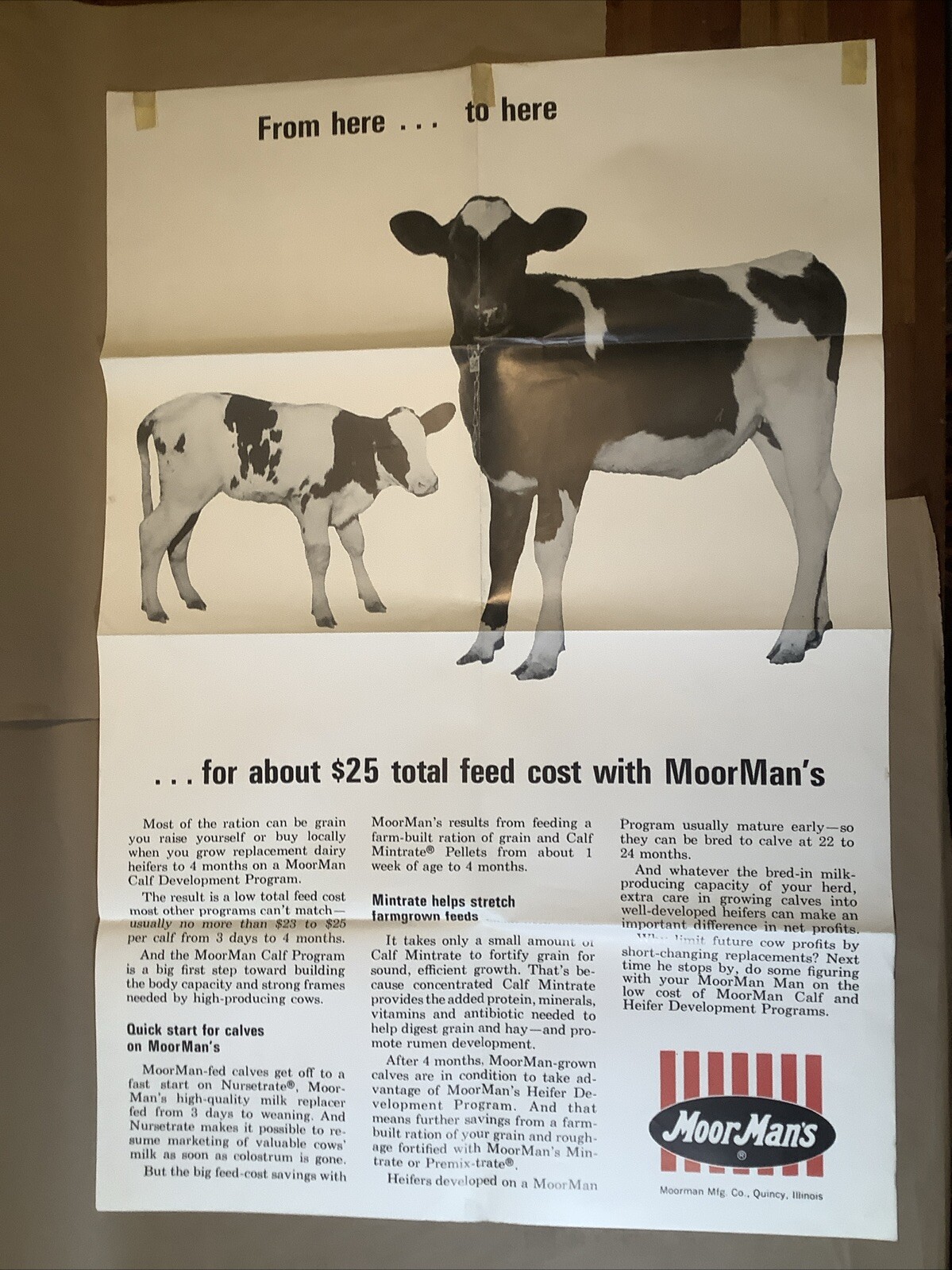 Vintage Moor Man’s Poster Quincy Illinois Dairy Cows INV-AA01R