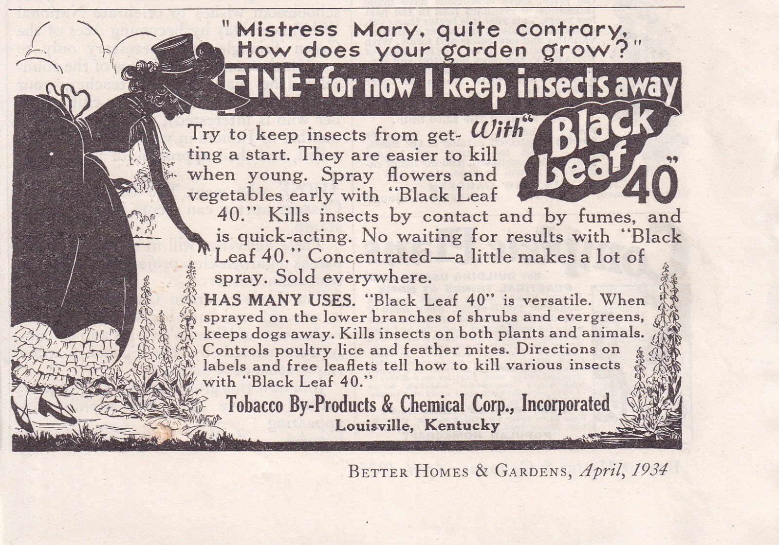 Tobacco By Products & Chemical Co Louisville KY 1934 Print Ad 5″x4″ Insect Spray