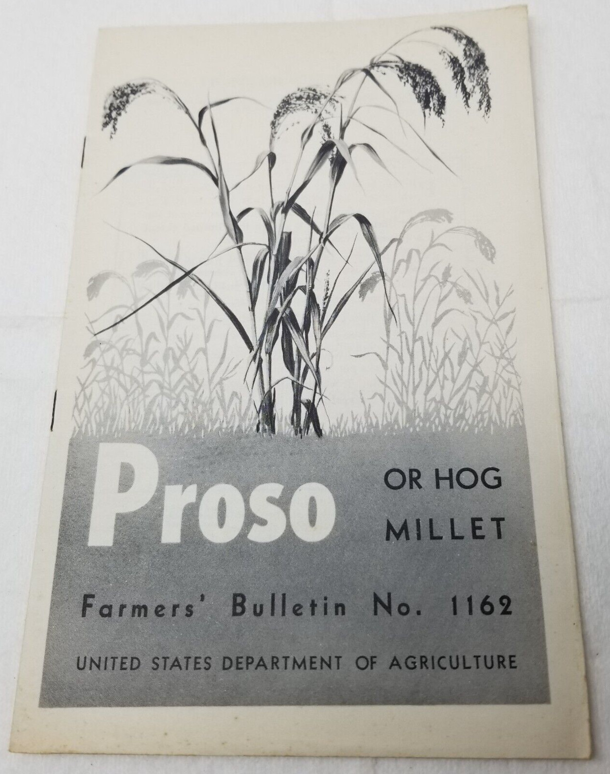 Proso Hog Millet 1937 Farmers’ Bulletin Booklet 1162 USDA Photos Charts