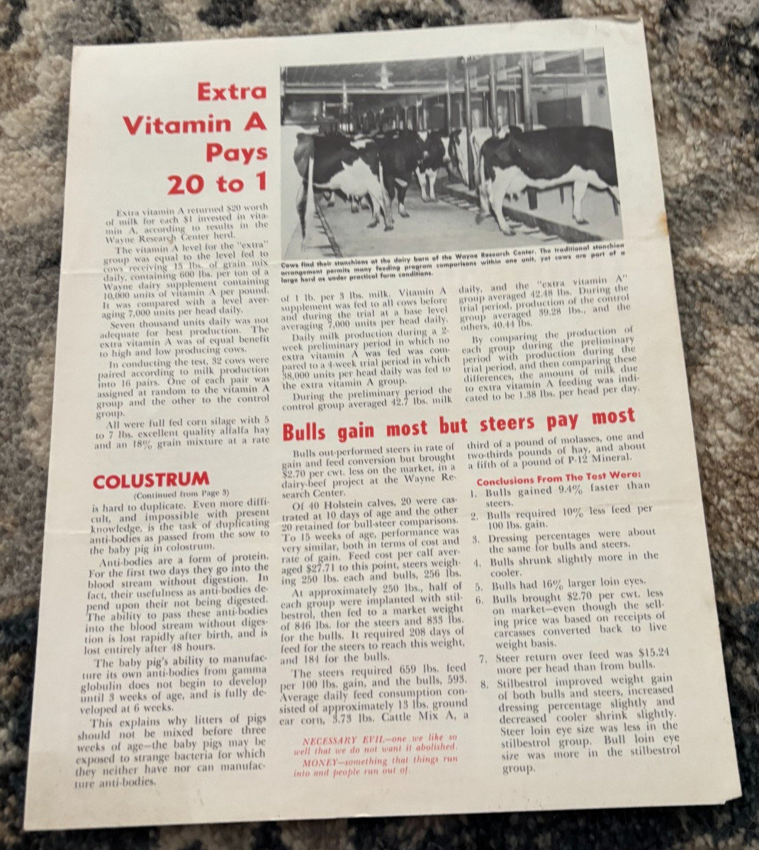 Wayne Feeds Barn-E-Gram Jan 1964 Brochure DCPA26