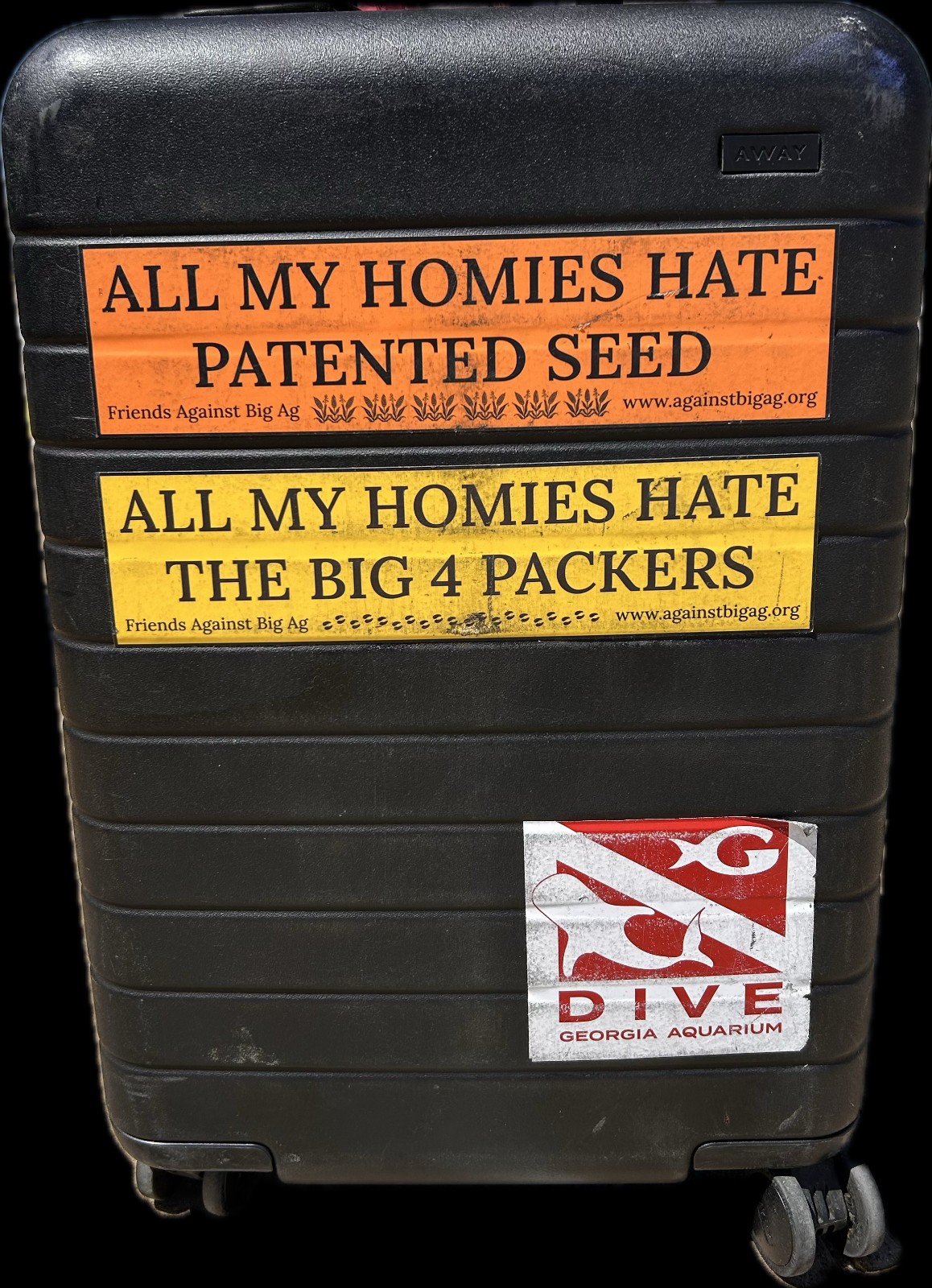 “All My Homies: Patented Seed”, 11.5″ x 3″ Orange Vinyl Sticker