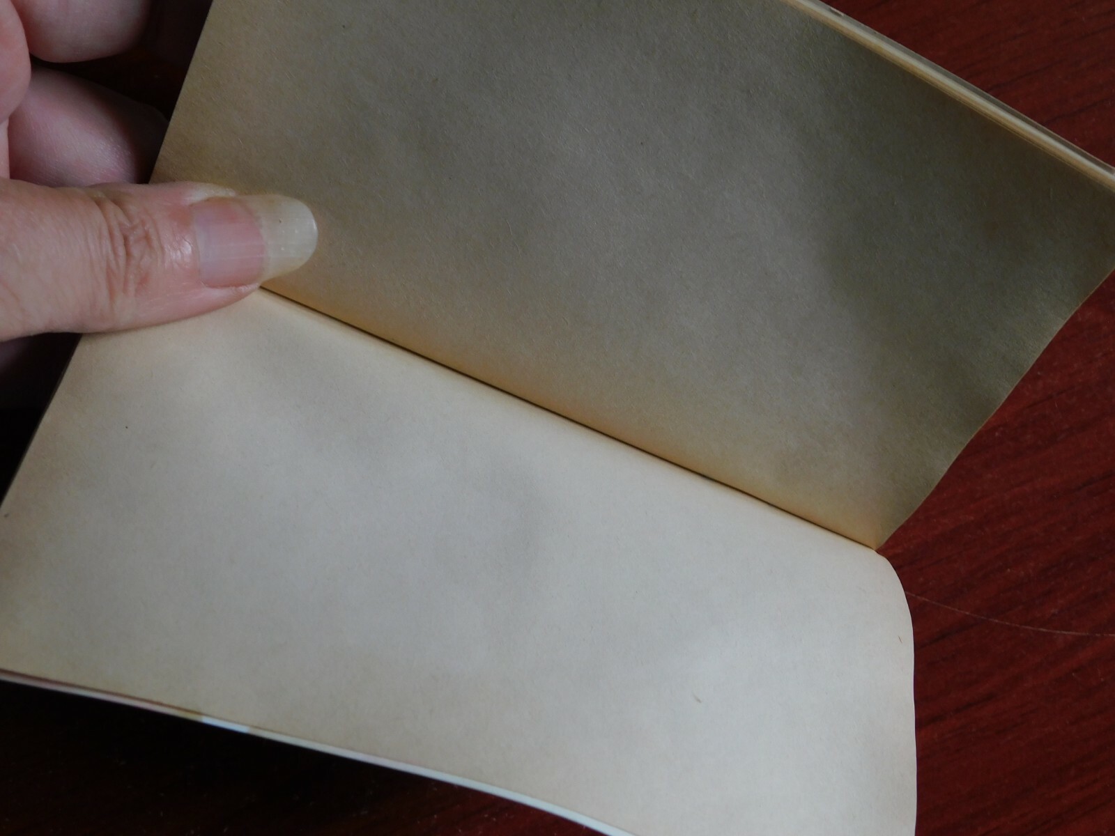 4) Notebooks: Funk’s G, McCurdy Hybrids, Olin Agri, Armour Fert – advertising