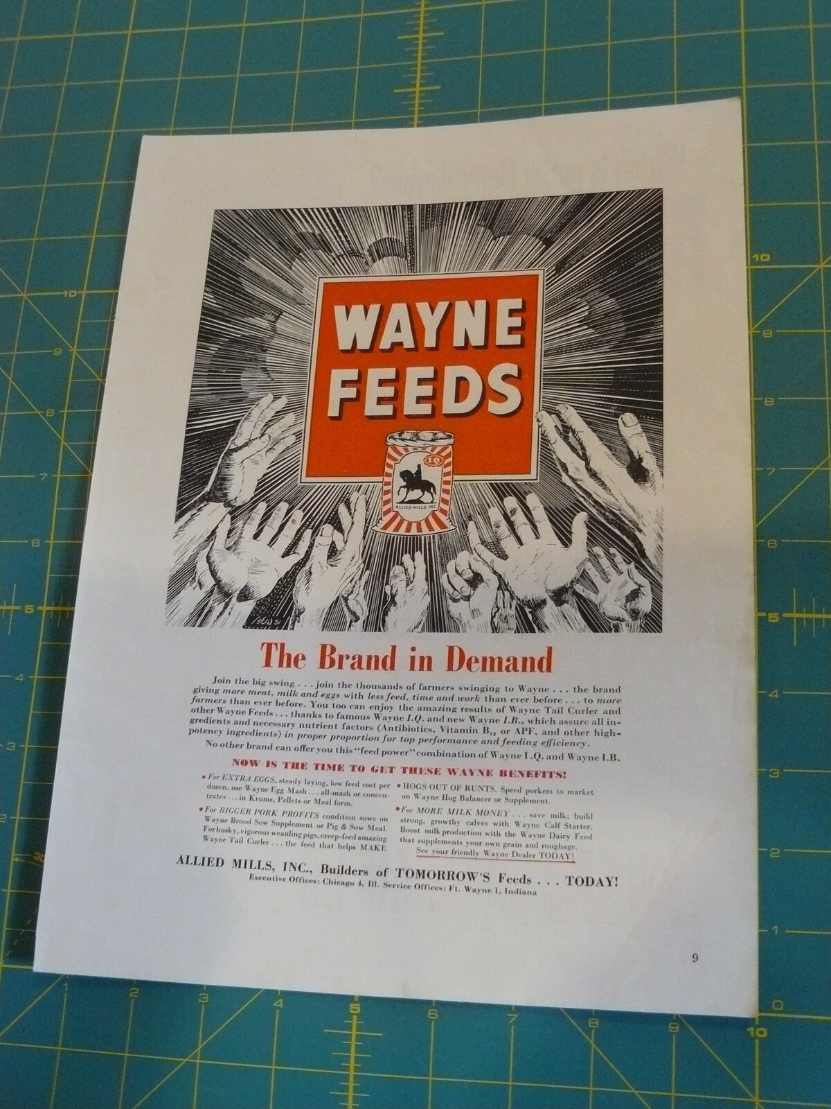 THE FARM QUARTERLY-AUTUMN 1951-ad- WAYNE FEEDS-Builder’s of Tomorrows Feed/ IND