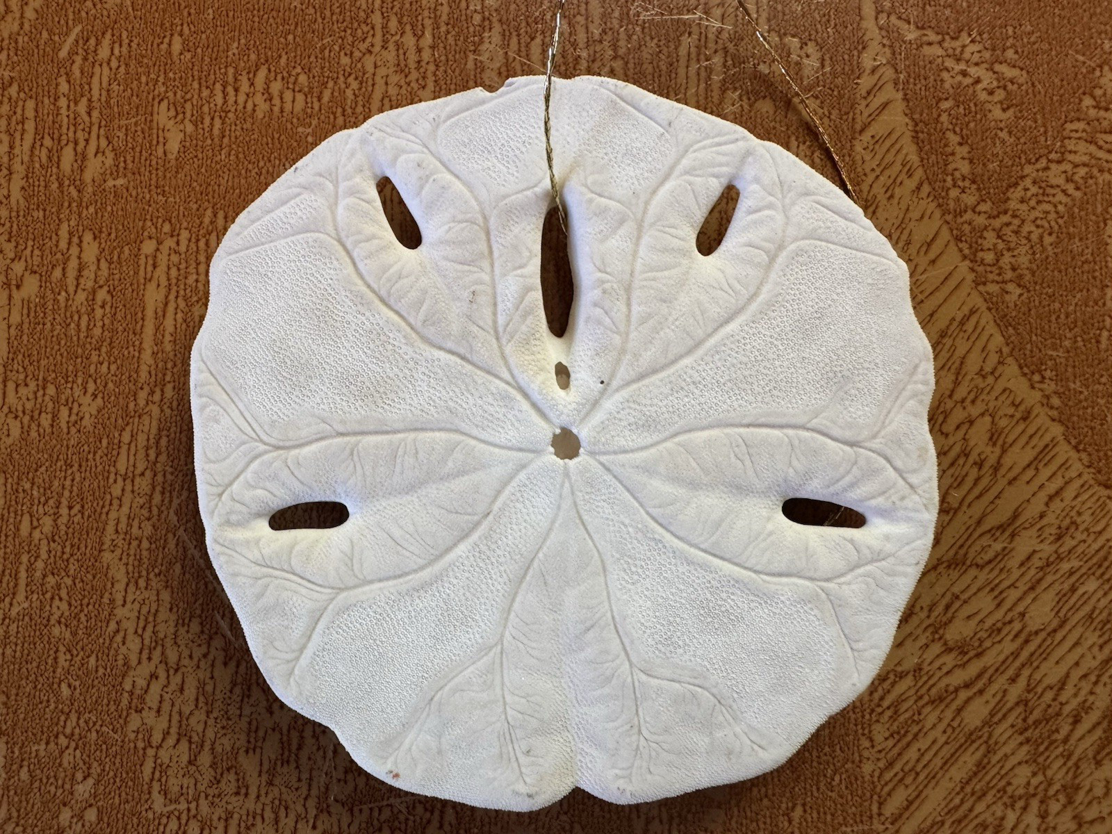 Painted 3″ Sand Dollar~Rock Island, Illinois~Pottawatomi Light House~435