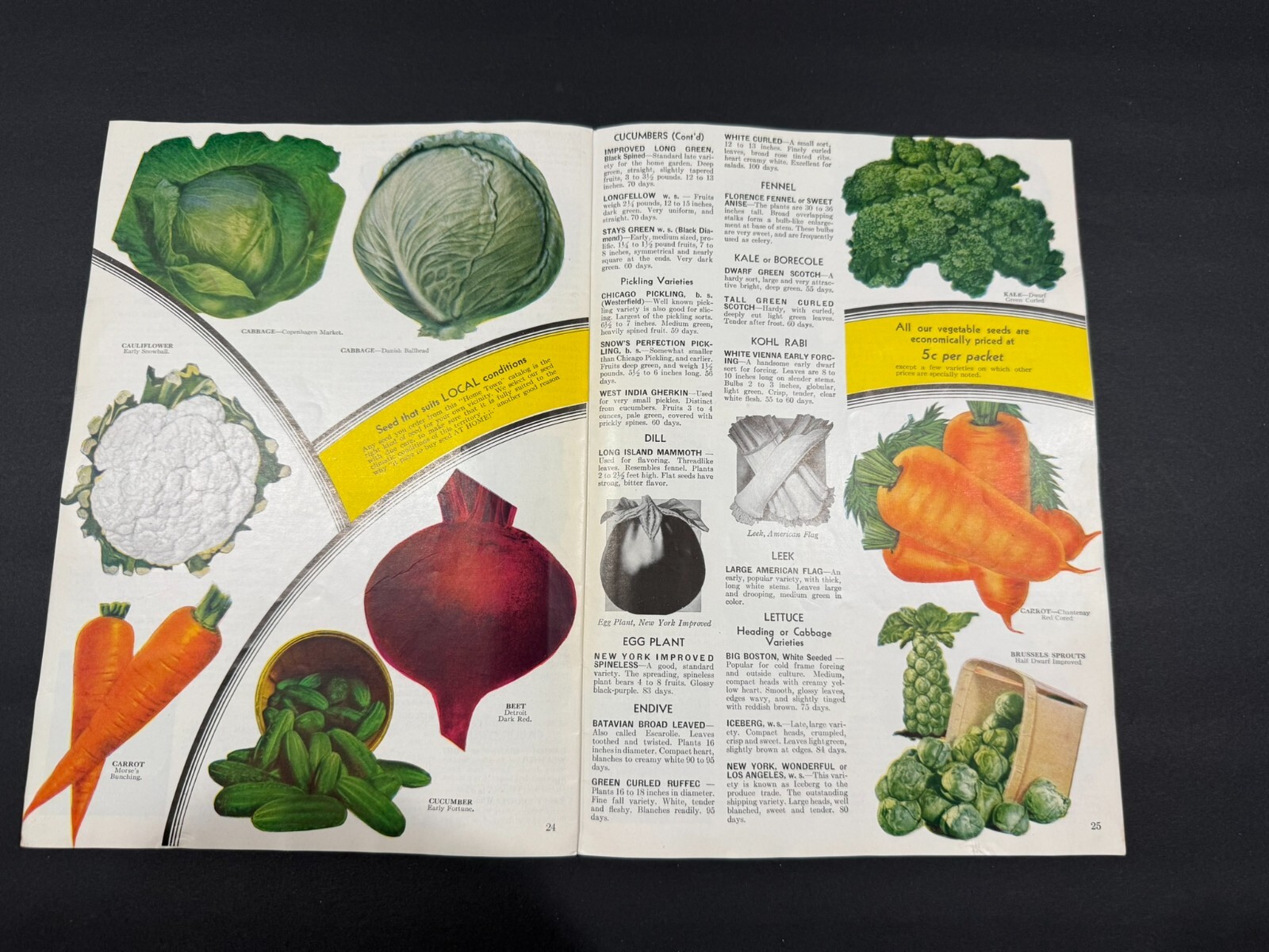 1930’s Glen Brothers & HB Burdick’s Fruit, Flowers, Seed Brochures…..2 Items