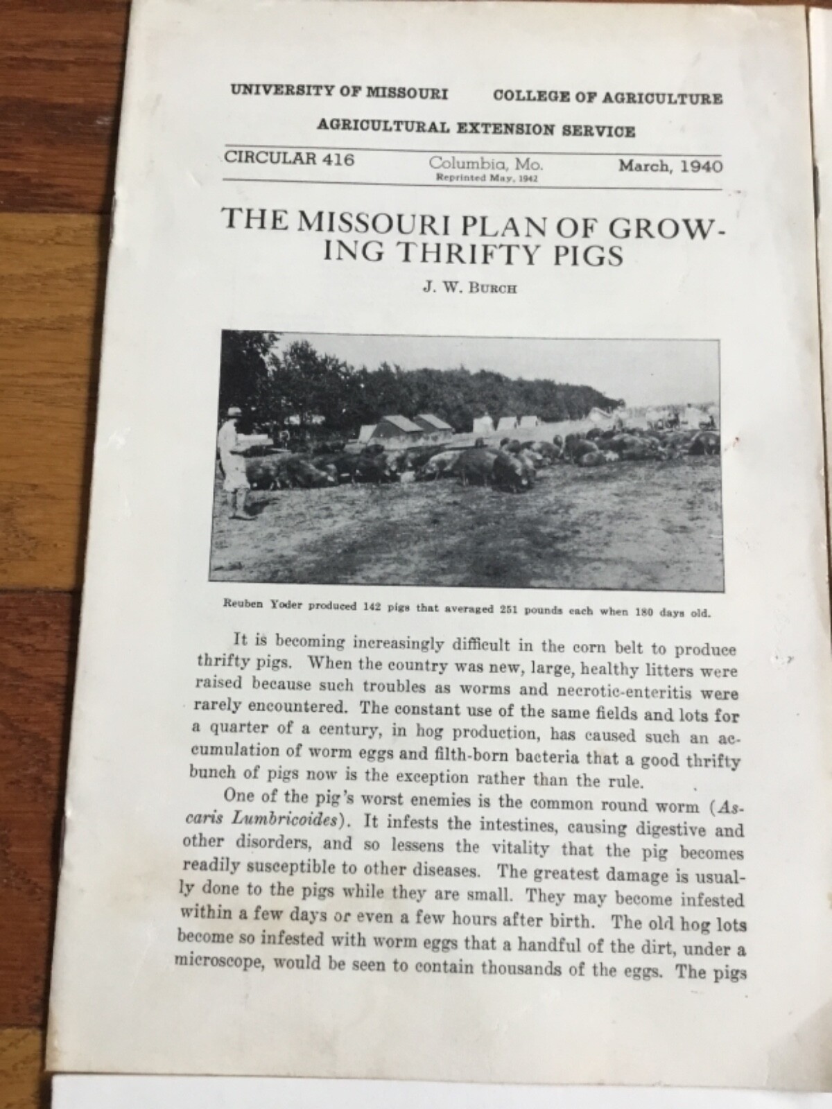 WWII Era Brochure x4 Univ. of MO Hog farming, weaning, efficiency + 1930’s-40’s