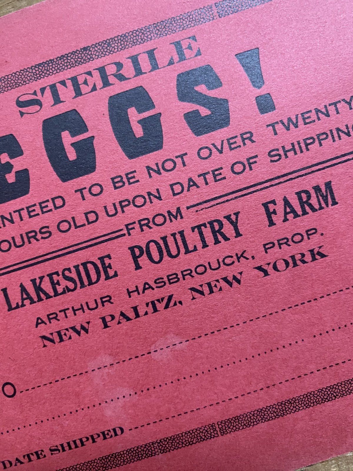 Antique/Vtg 1900’s EGGS SIGN Lakeside Poultry Farm, New Paltz NY Hudson Valley